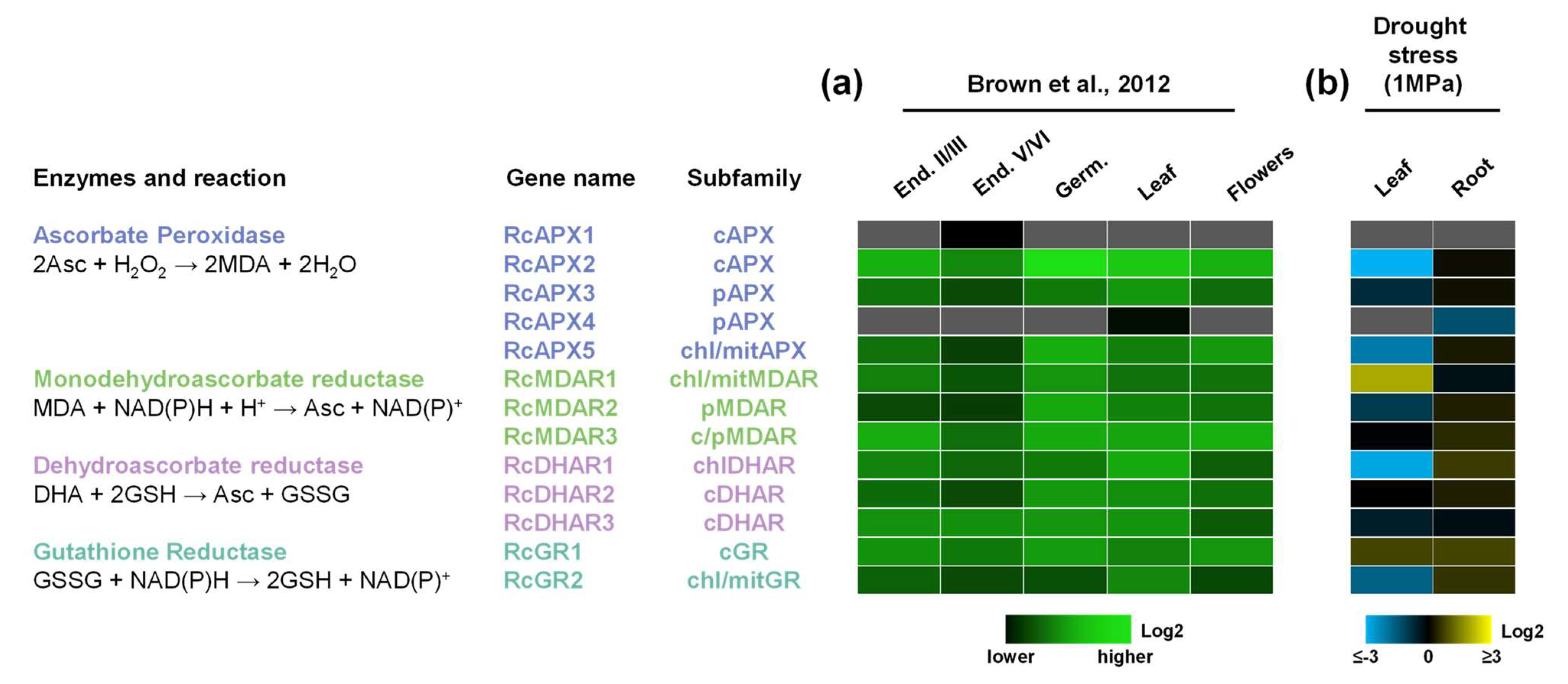 Biology 12 00019 g005 Biology 12 00019 g005