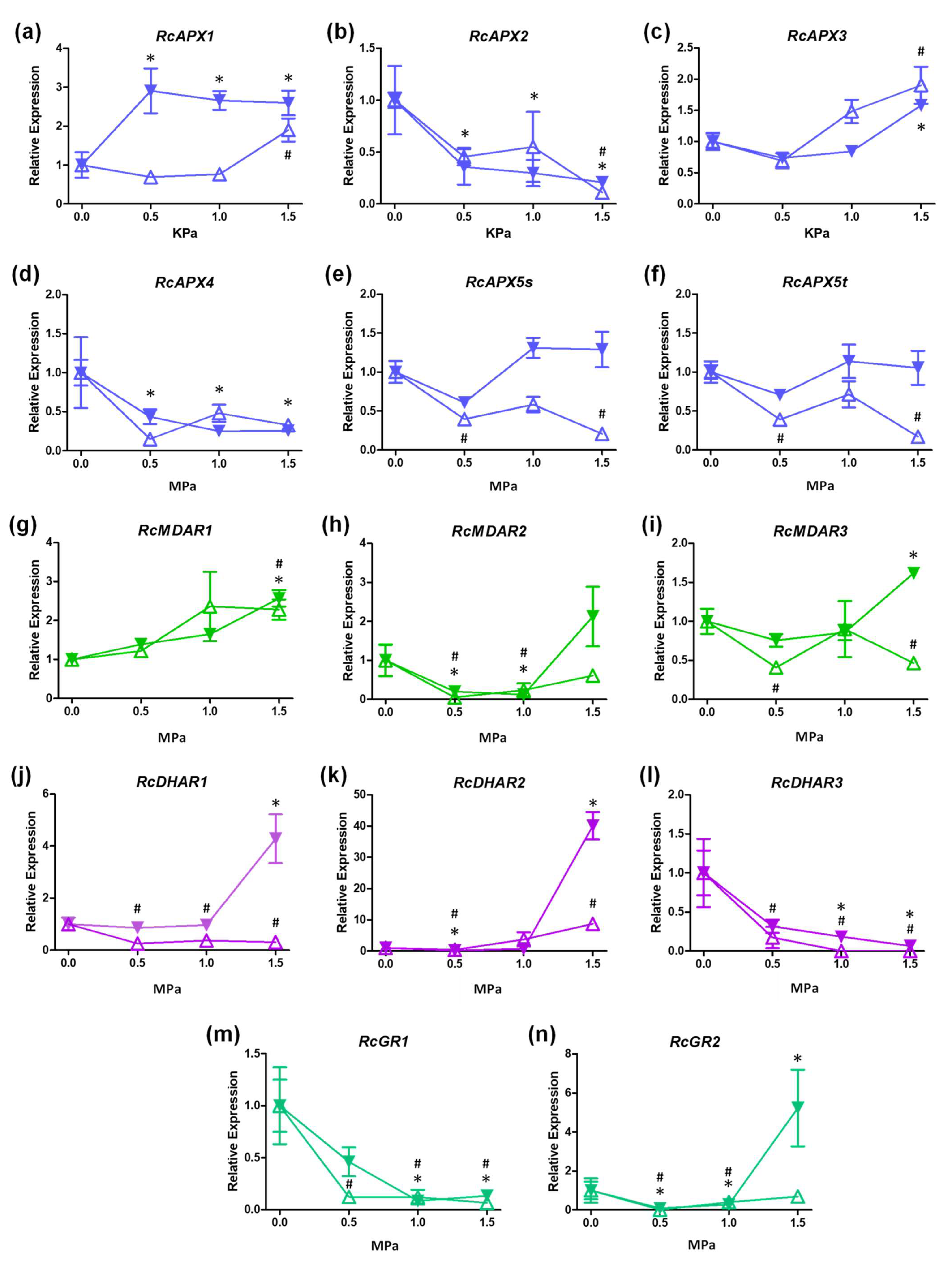 Biology 12 00019 g006 Biology 12 00019 g006