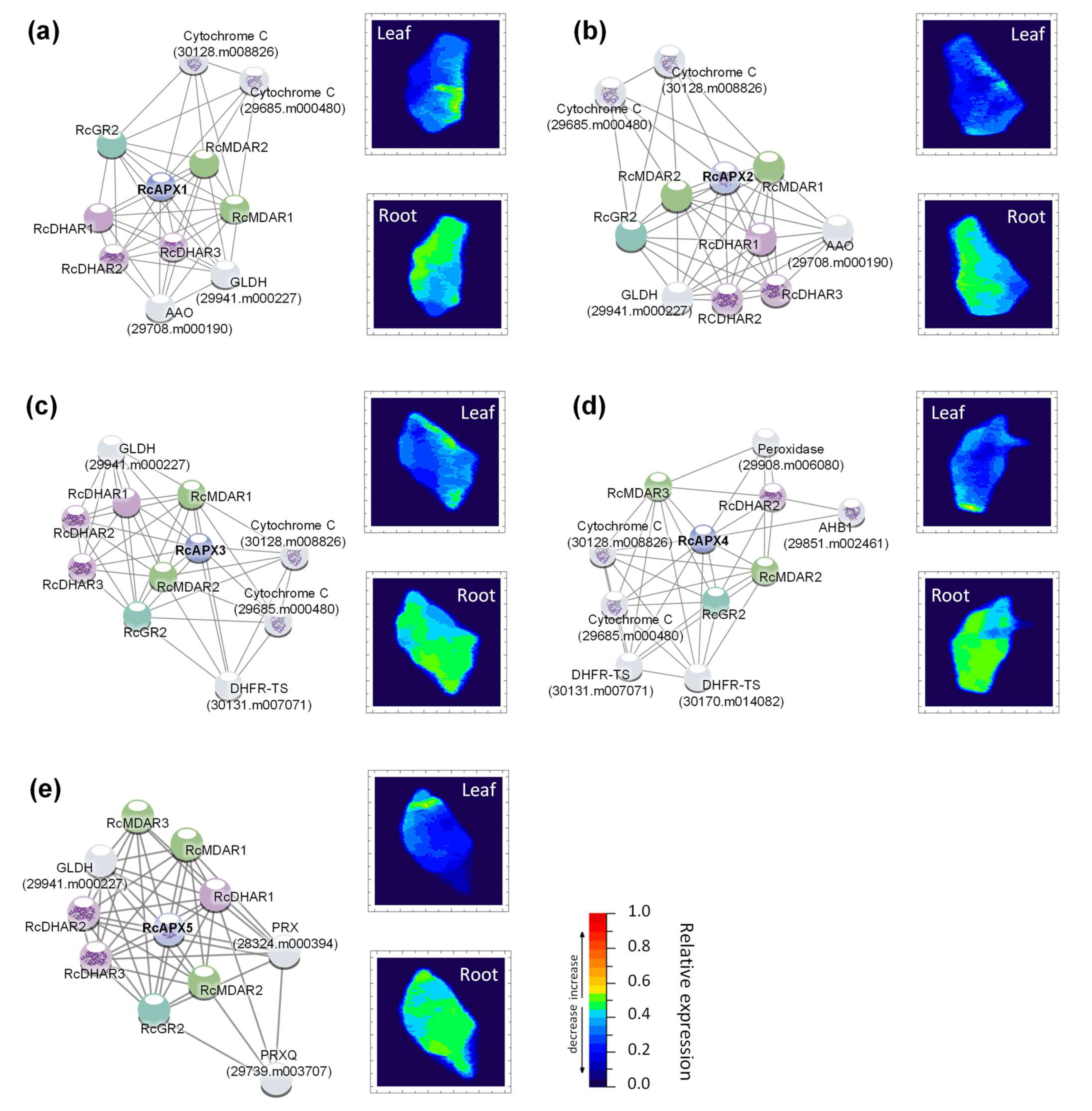 Biology 12 00019 g007 Biology 12 00019 g007