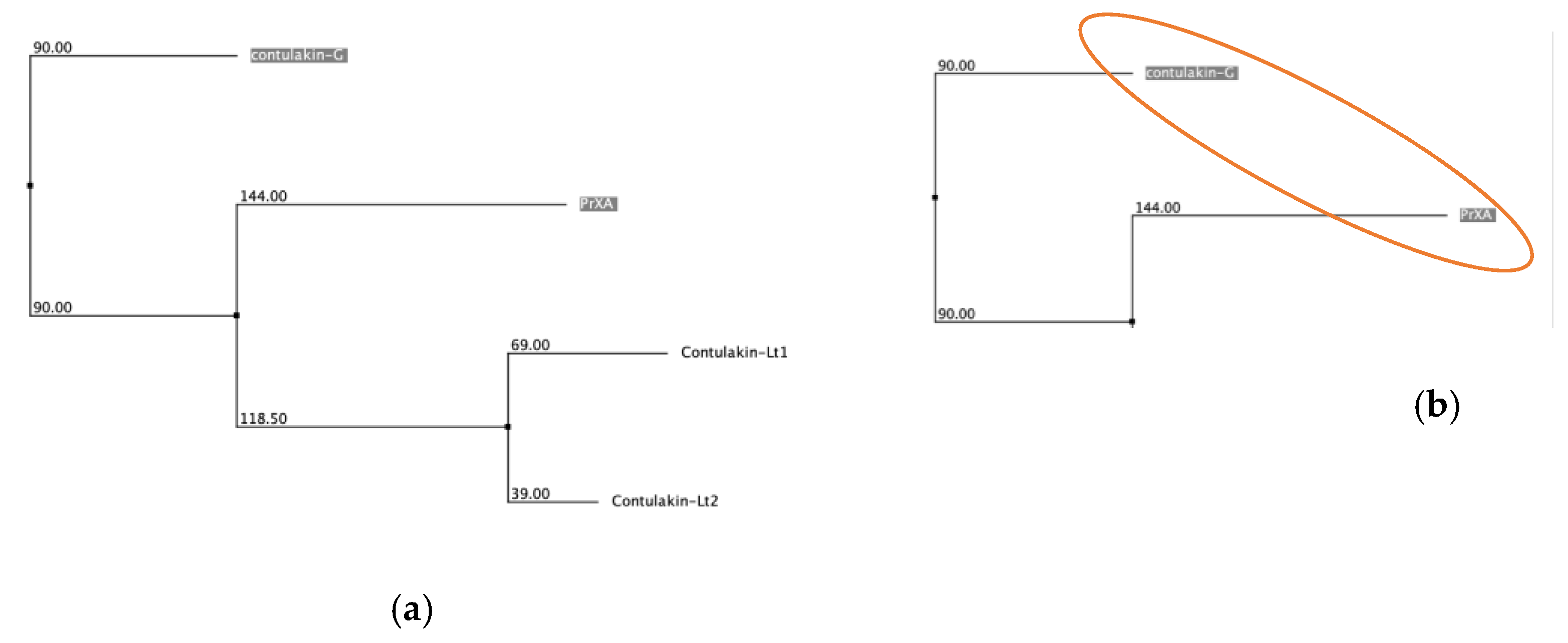 Biology 12 00020 g003a Biology 12 00020 g003a