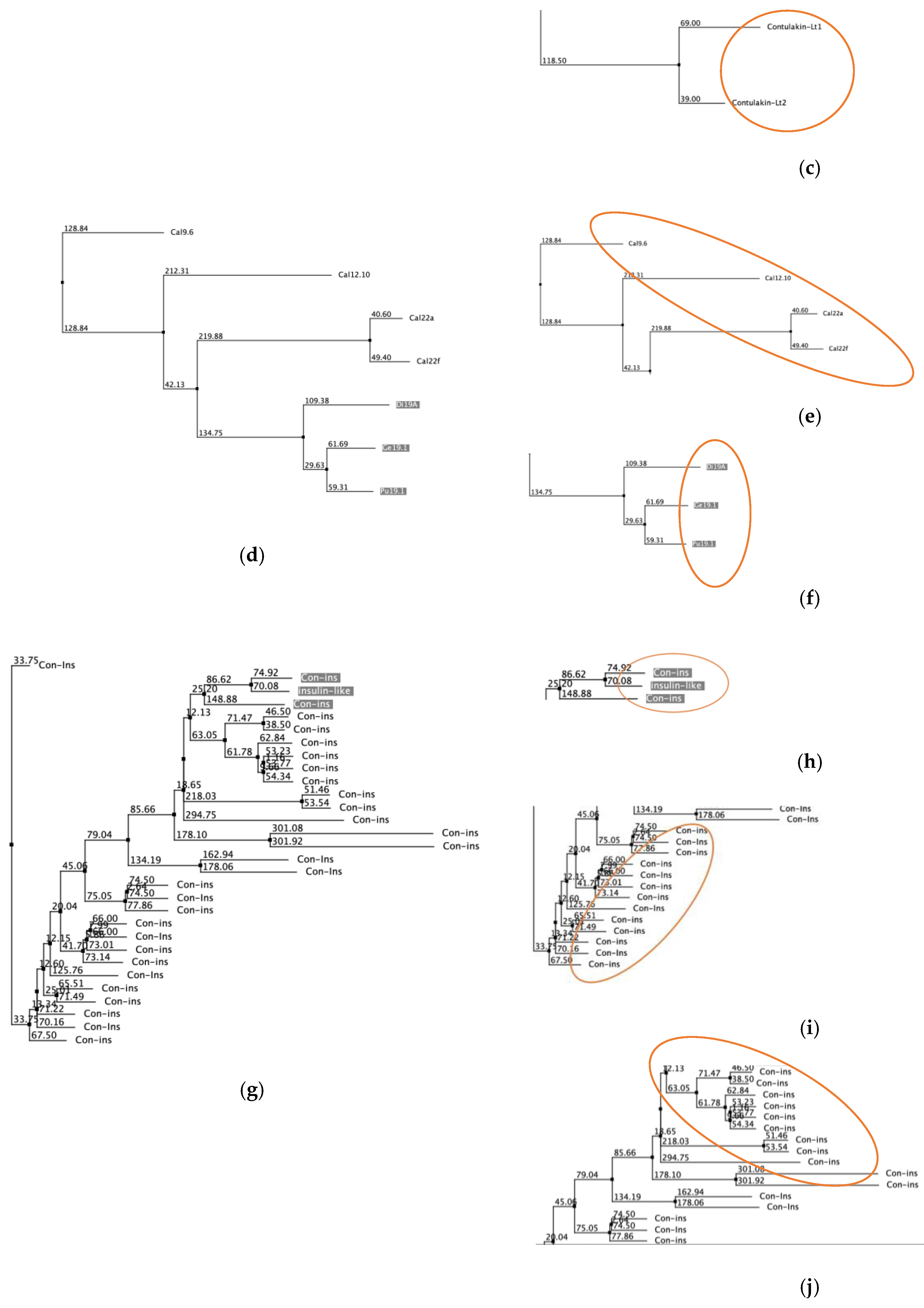 Biology 12 00020 g003b Biology 12 00020 g003b