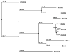 Biology 12 00020 i052 Biology 12 00020 i052
