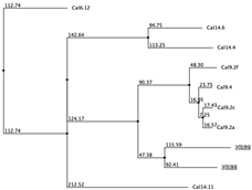 Biology 12 00020 i053 Biology 12 00020 i053