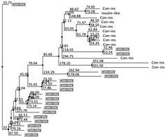 Biology 12 00020 i060 Biology 12 00020 i060