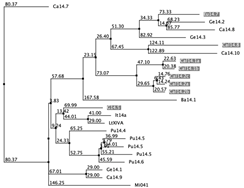 Biology 12 00020 i062 Biology 12 00020 i062