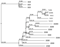 Biology 12 00020 i065 Biology 12 00020 i065