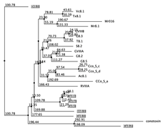 Biology 12 00020 i068 Biology 12 00020 i068