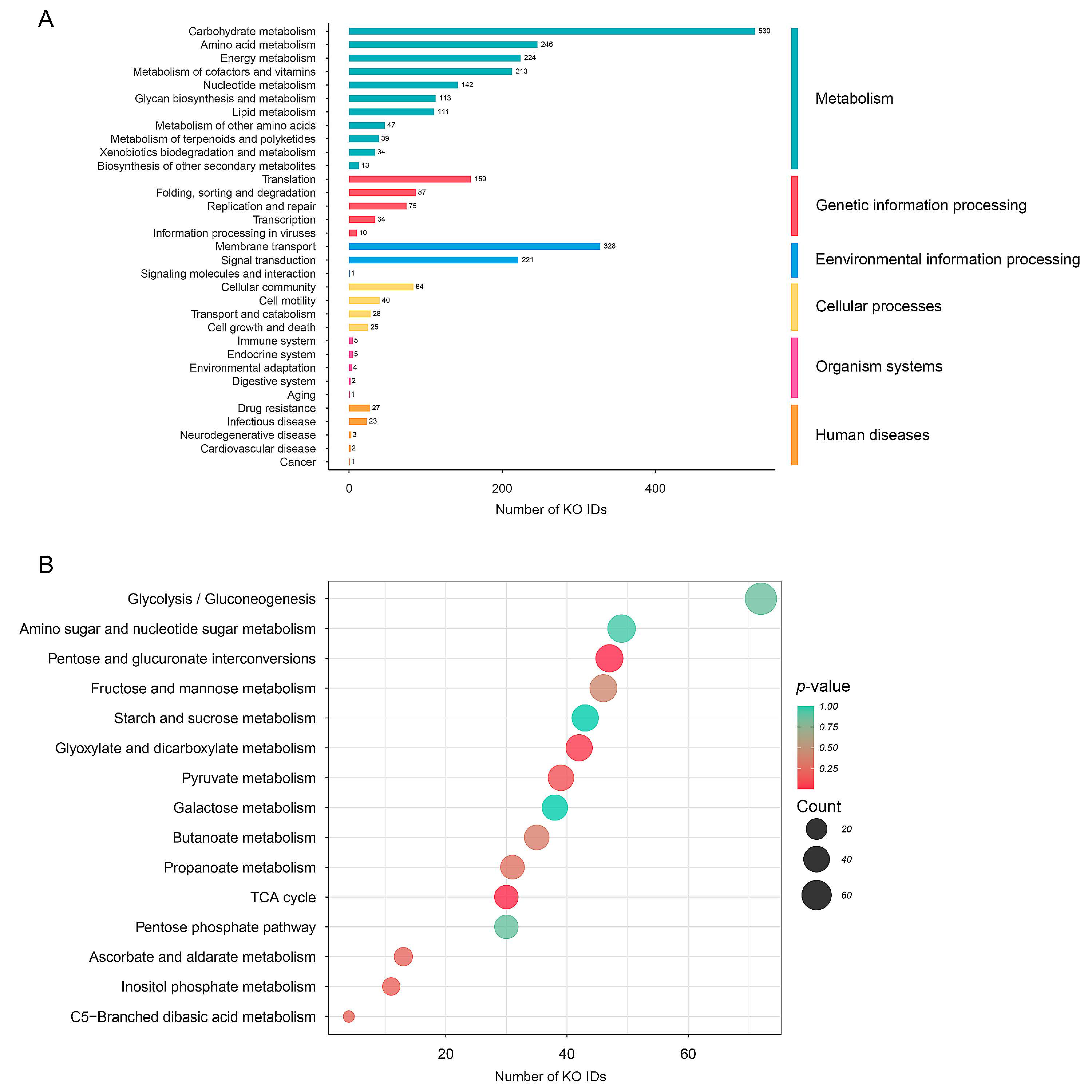 Biology 12 00021 g005 Biology 12 00021 g005