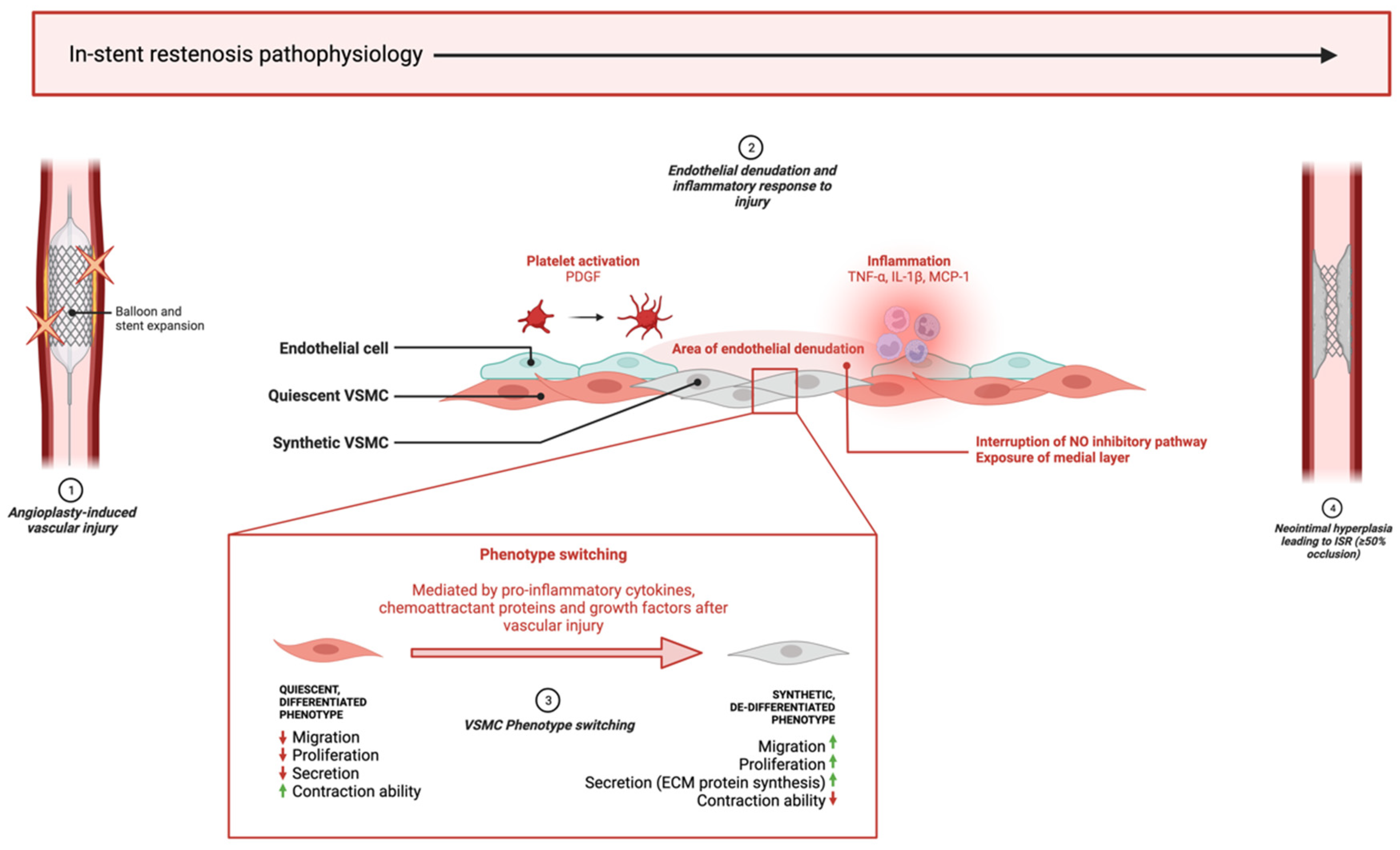 Biology 12 00024 g001 Biology 12 00024 g001