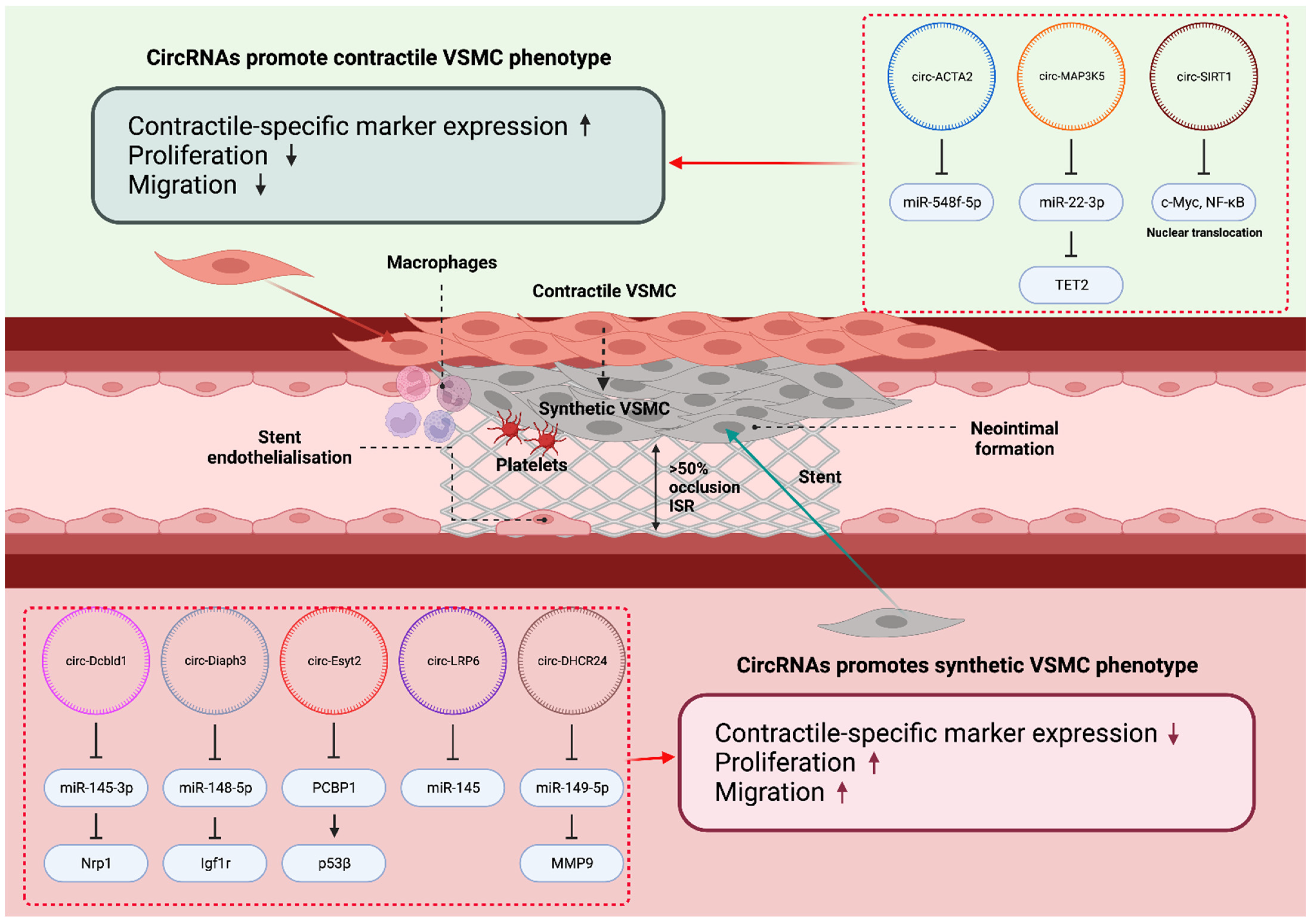 Biology 12 00024 g005 Biology 12 00024 g005