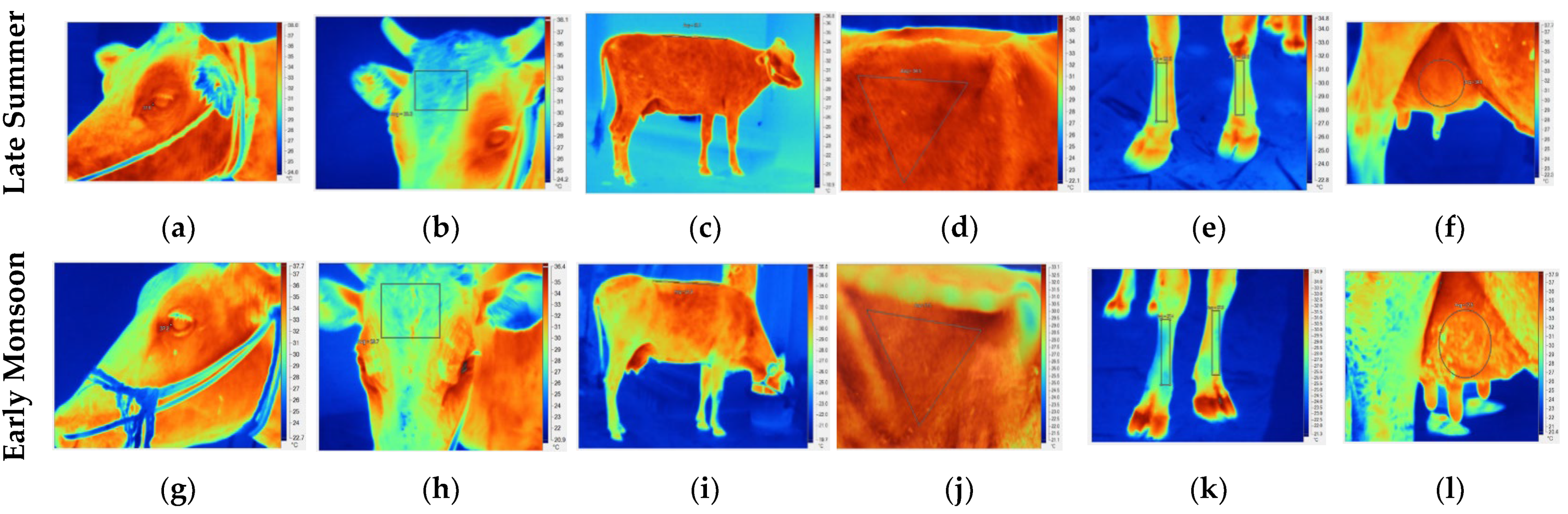 Biology 12 00026 g001