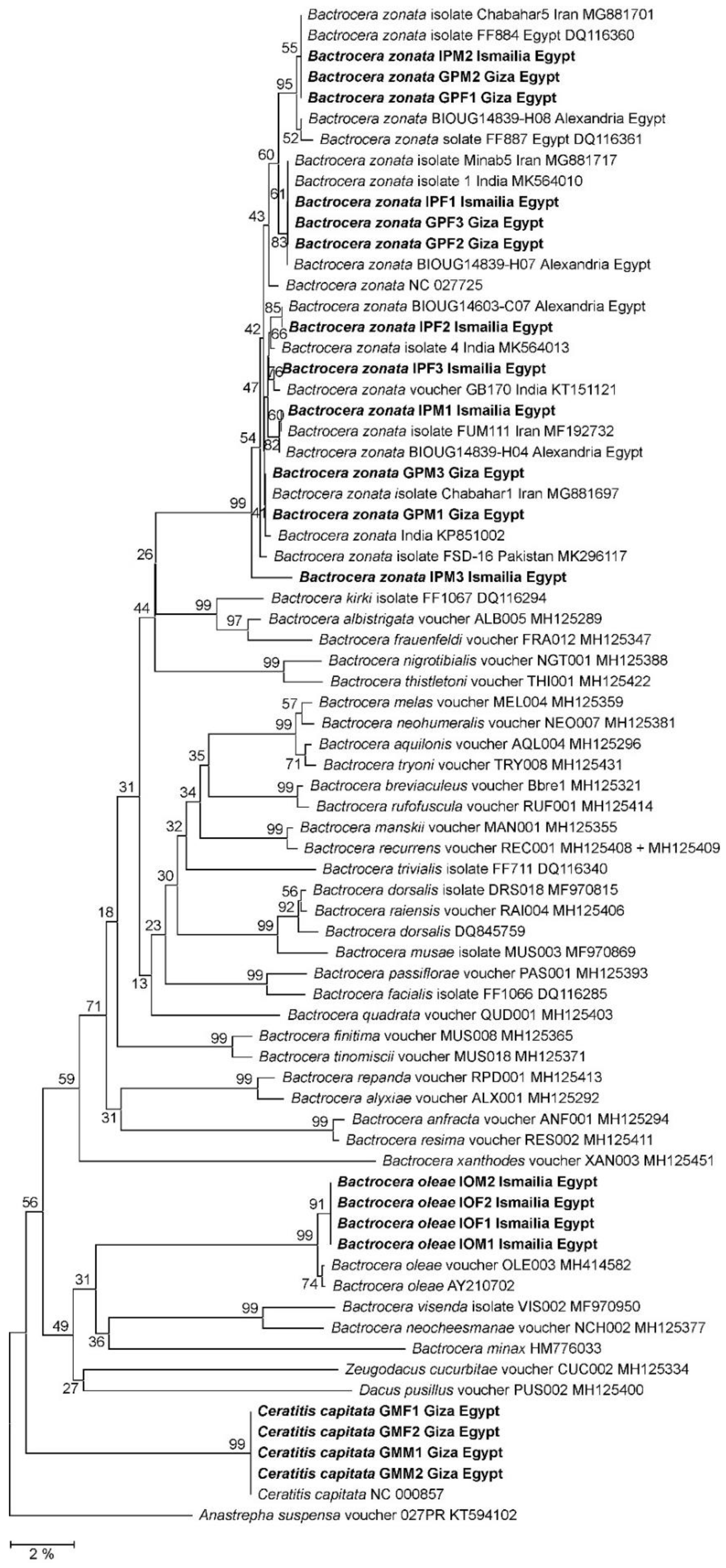 Biology 12 00027 g003 Biology 12 00027 g003