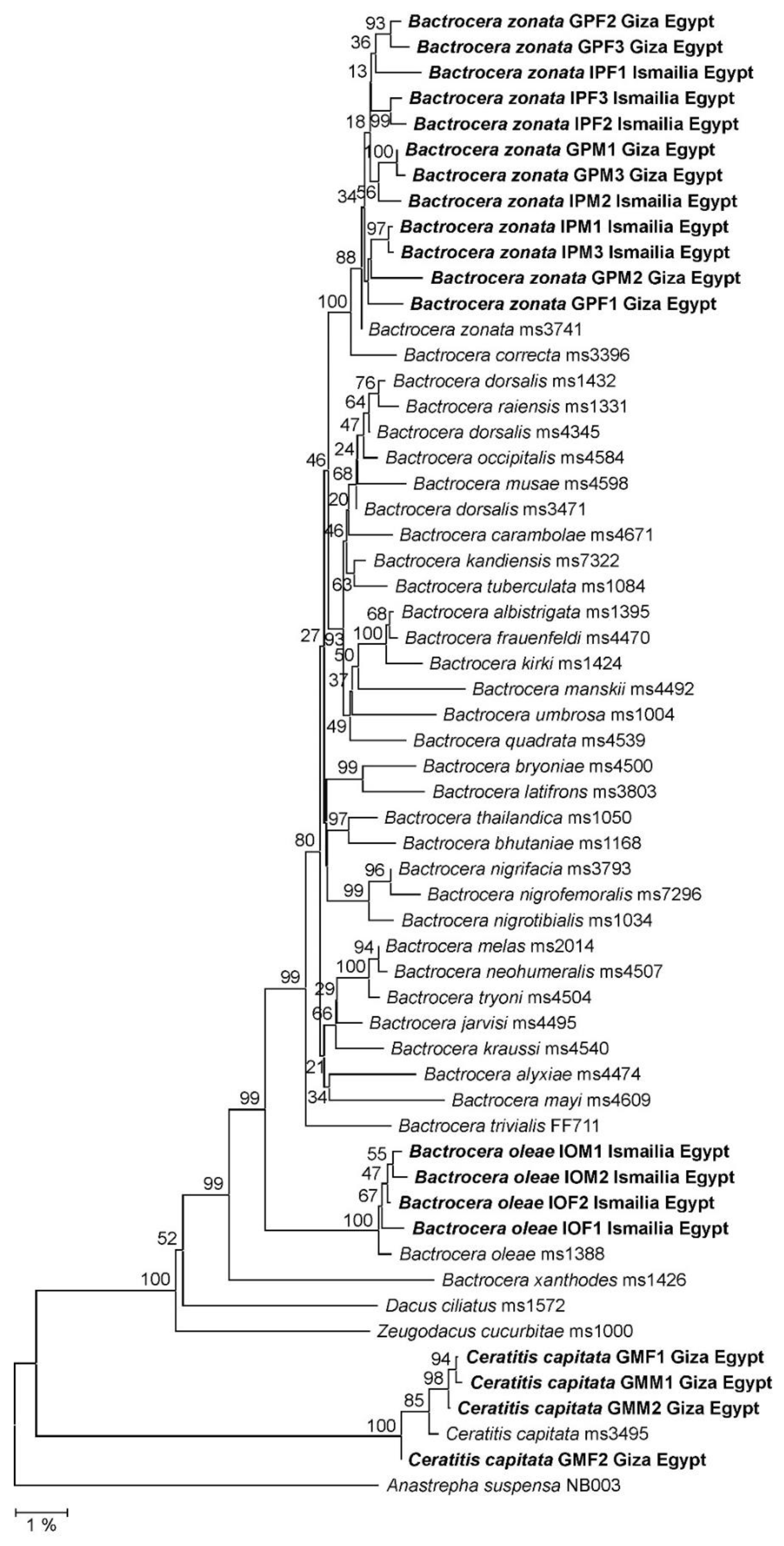Biology 12 00027 g004 Biology 12 00027 g004
