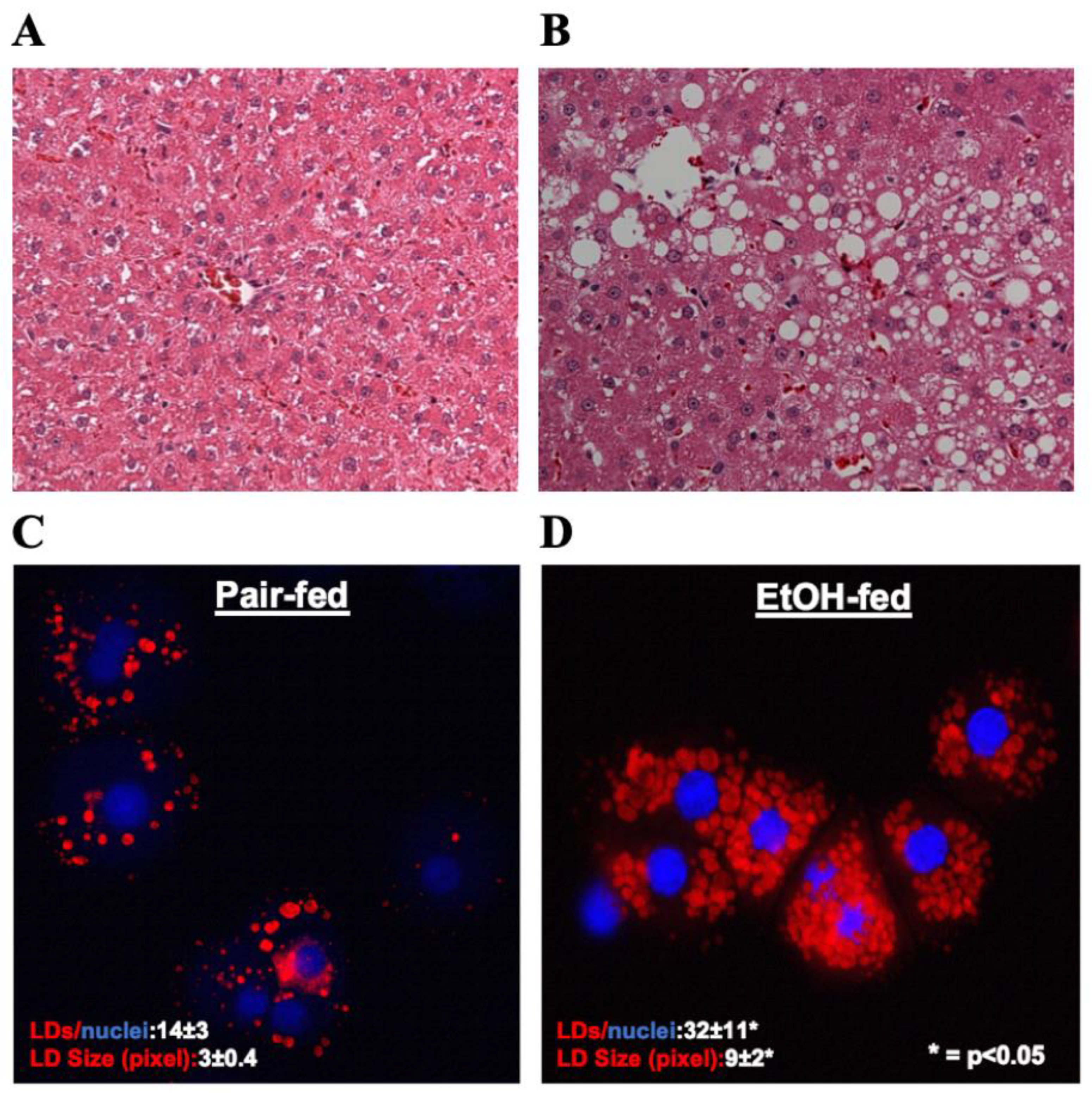 Biology 12 00028 g001 Biology 12 00028 g001