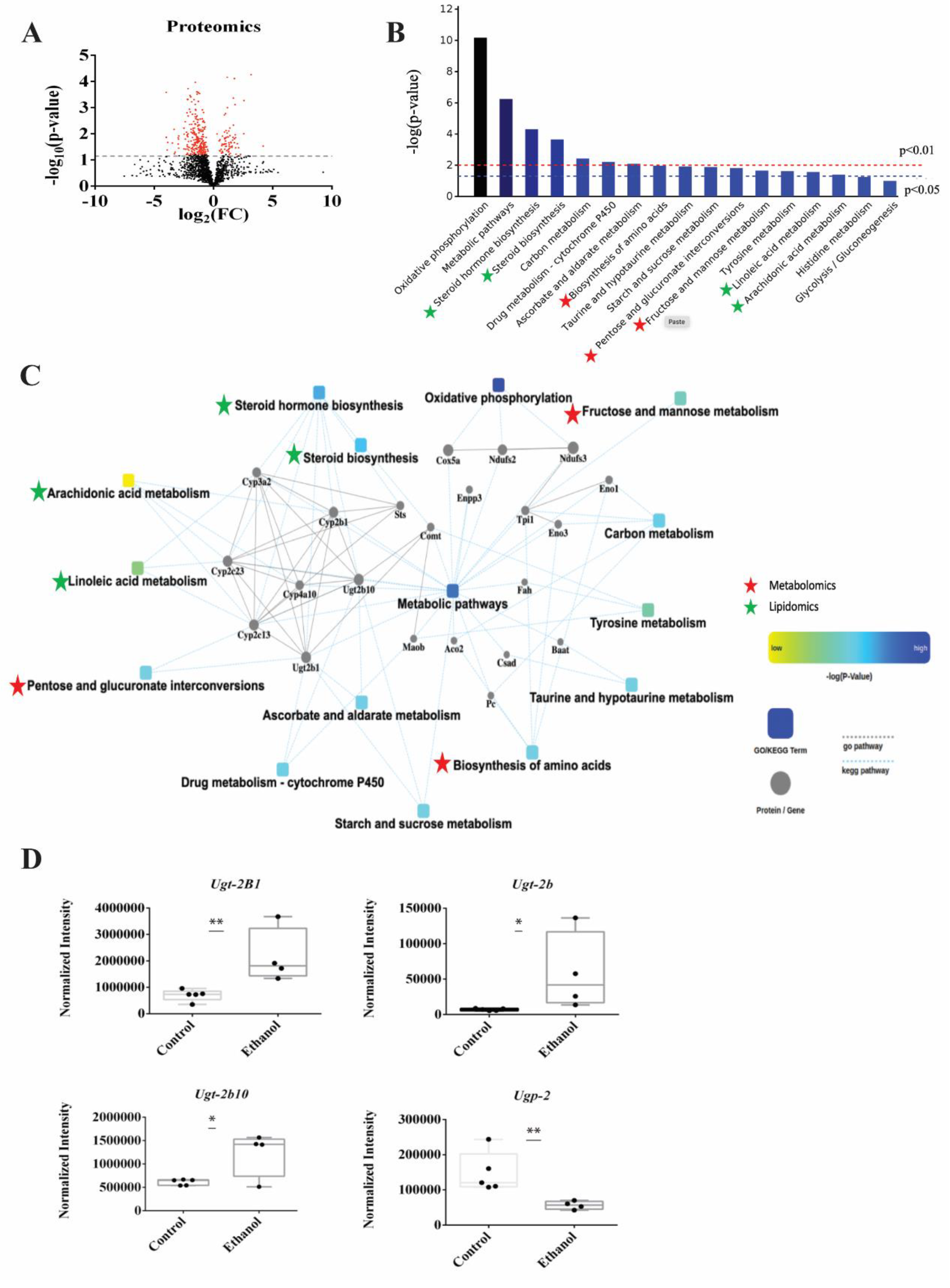 Biology 12 00028 g006 Biology 12 00028 g006