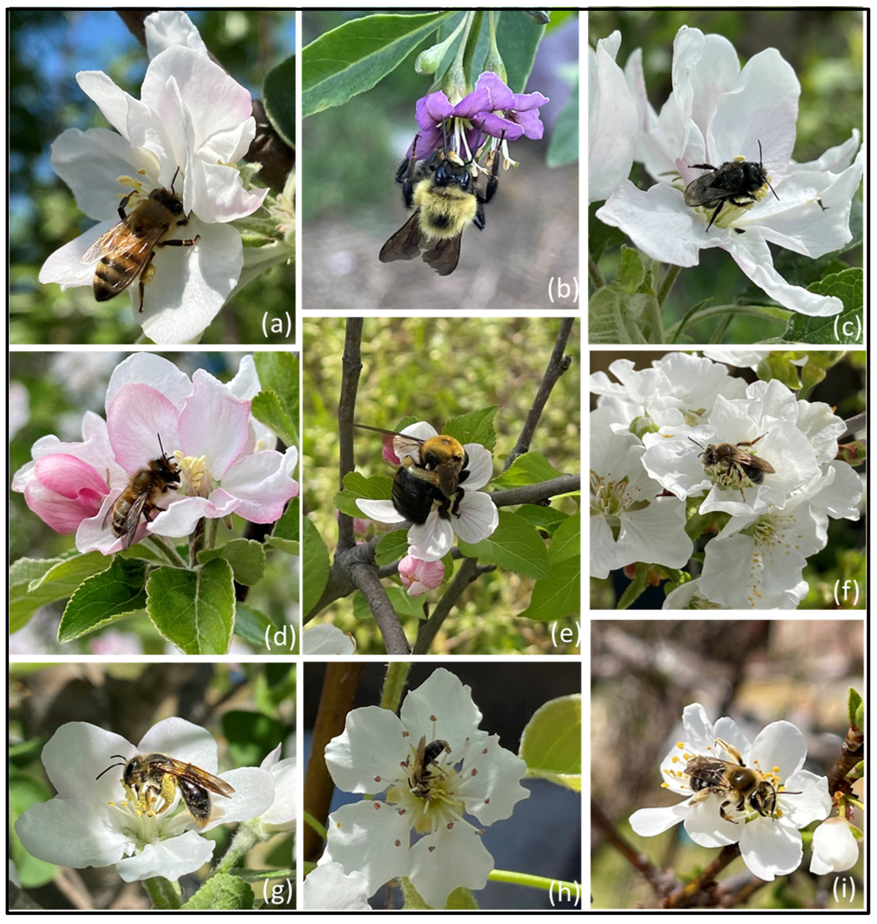 Biology 12 00031 g003 Biology 12 00031 g003