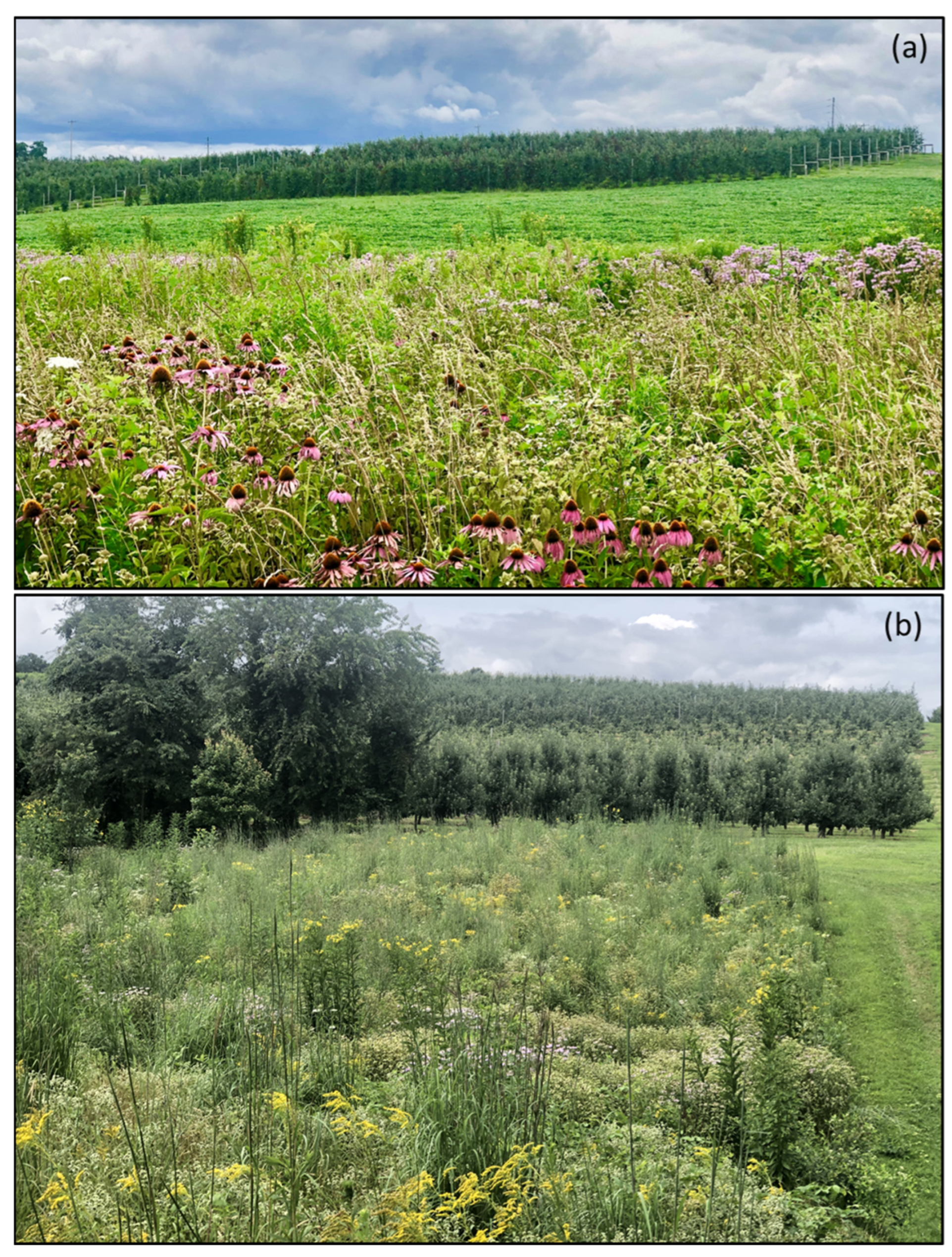 Biology 12 00031 g005 Biology 12 00031 g005