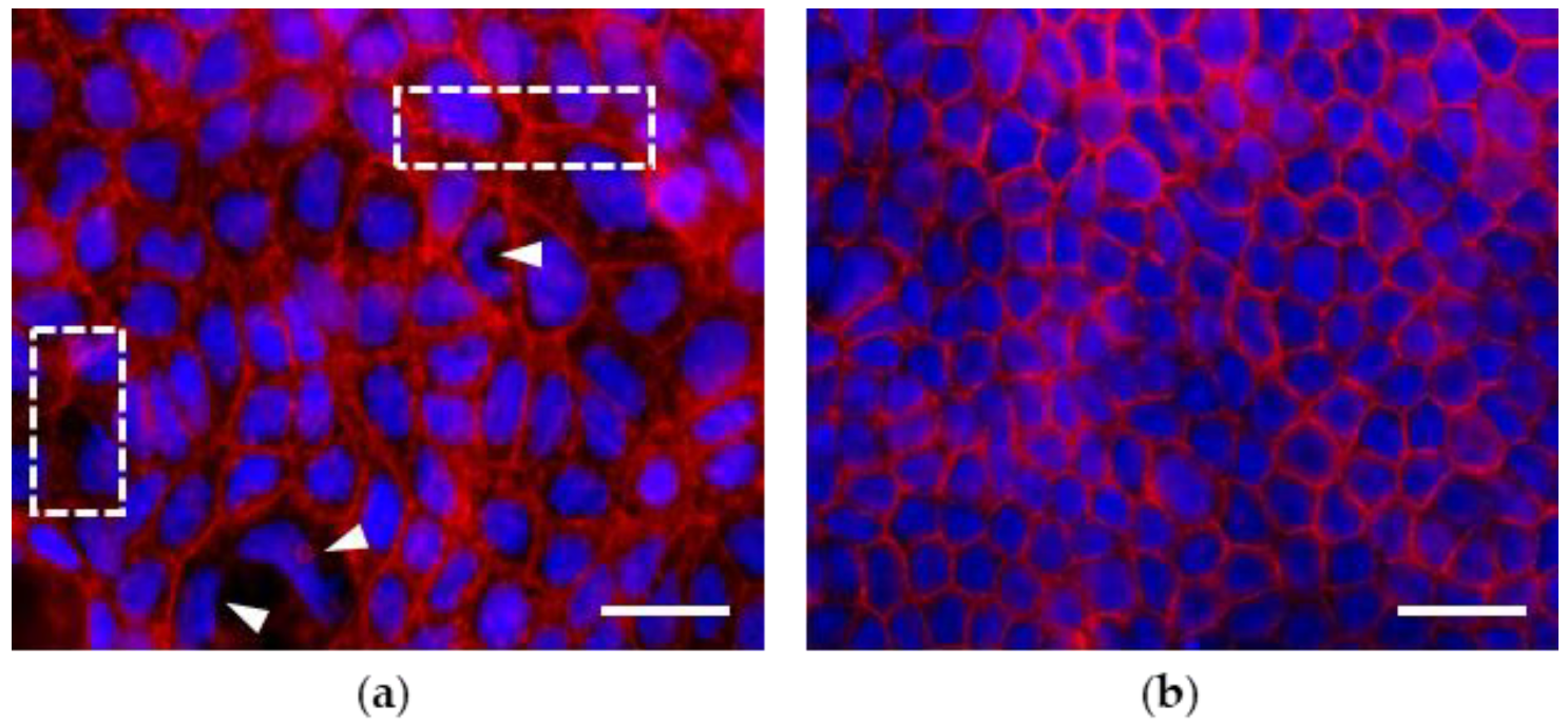 Biology 12 00036 g001 Biology 12 00036 g001