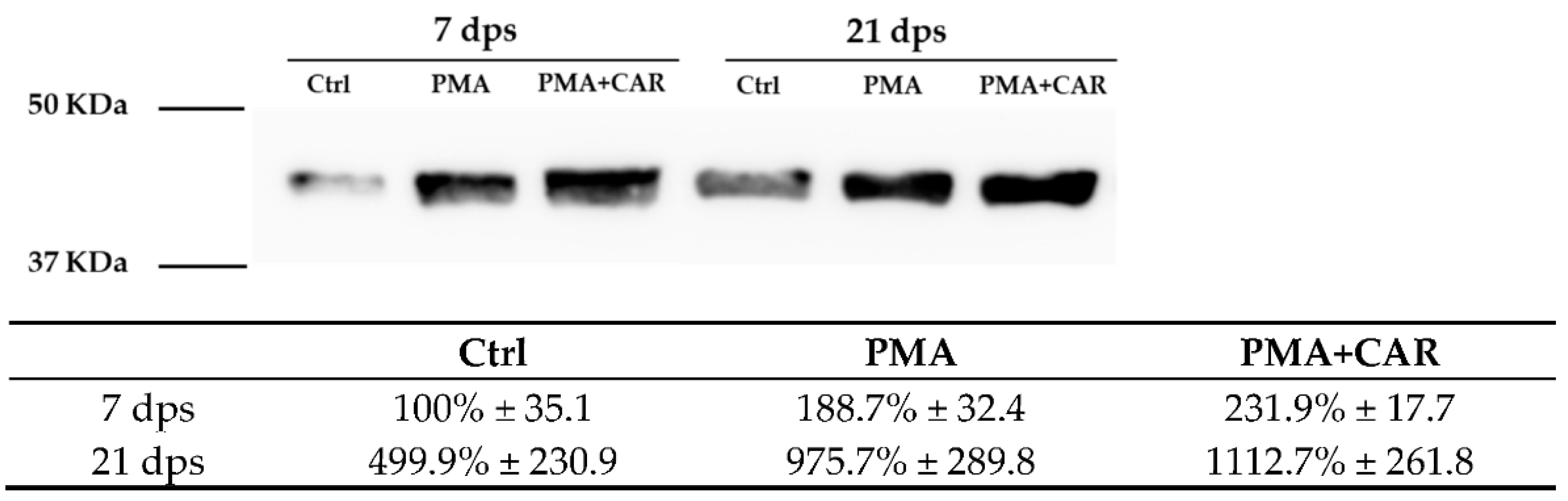 Biology 12 00036 g003 Biology 12 00036 g003