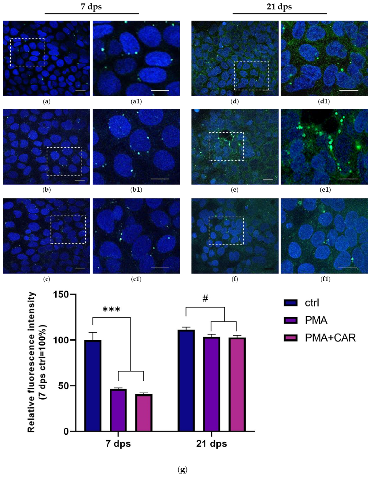 Biology 12 00036 g005 Biology 12 00036 g005