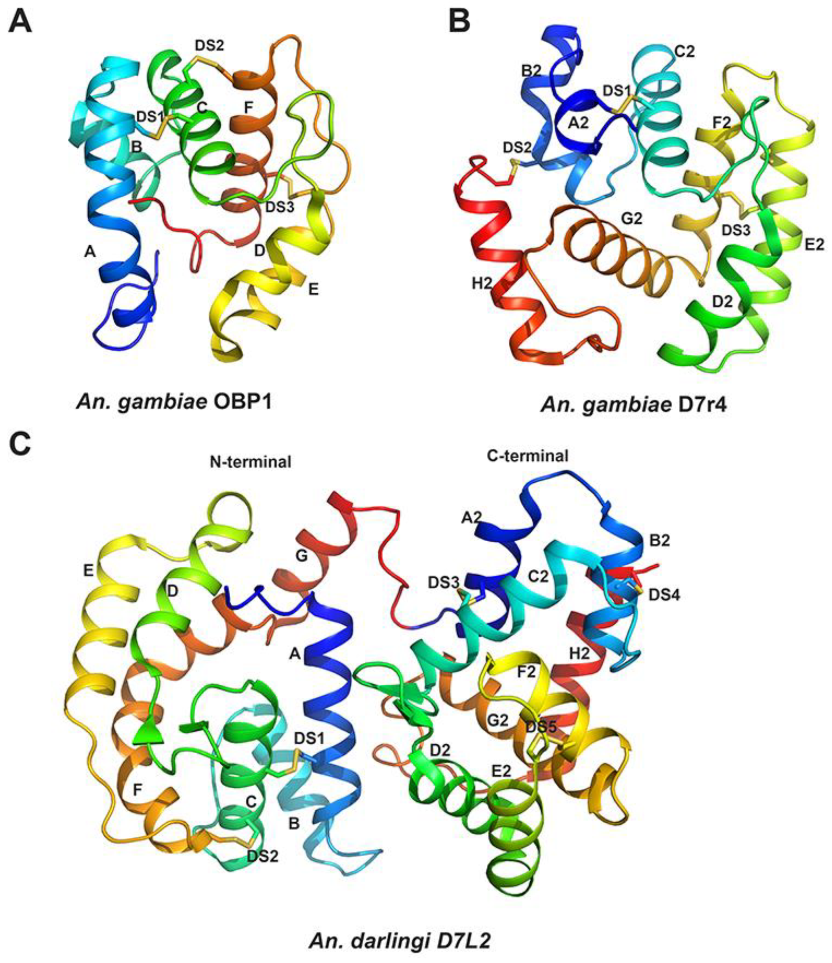 Biology 12 00039 g001