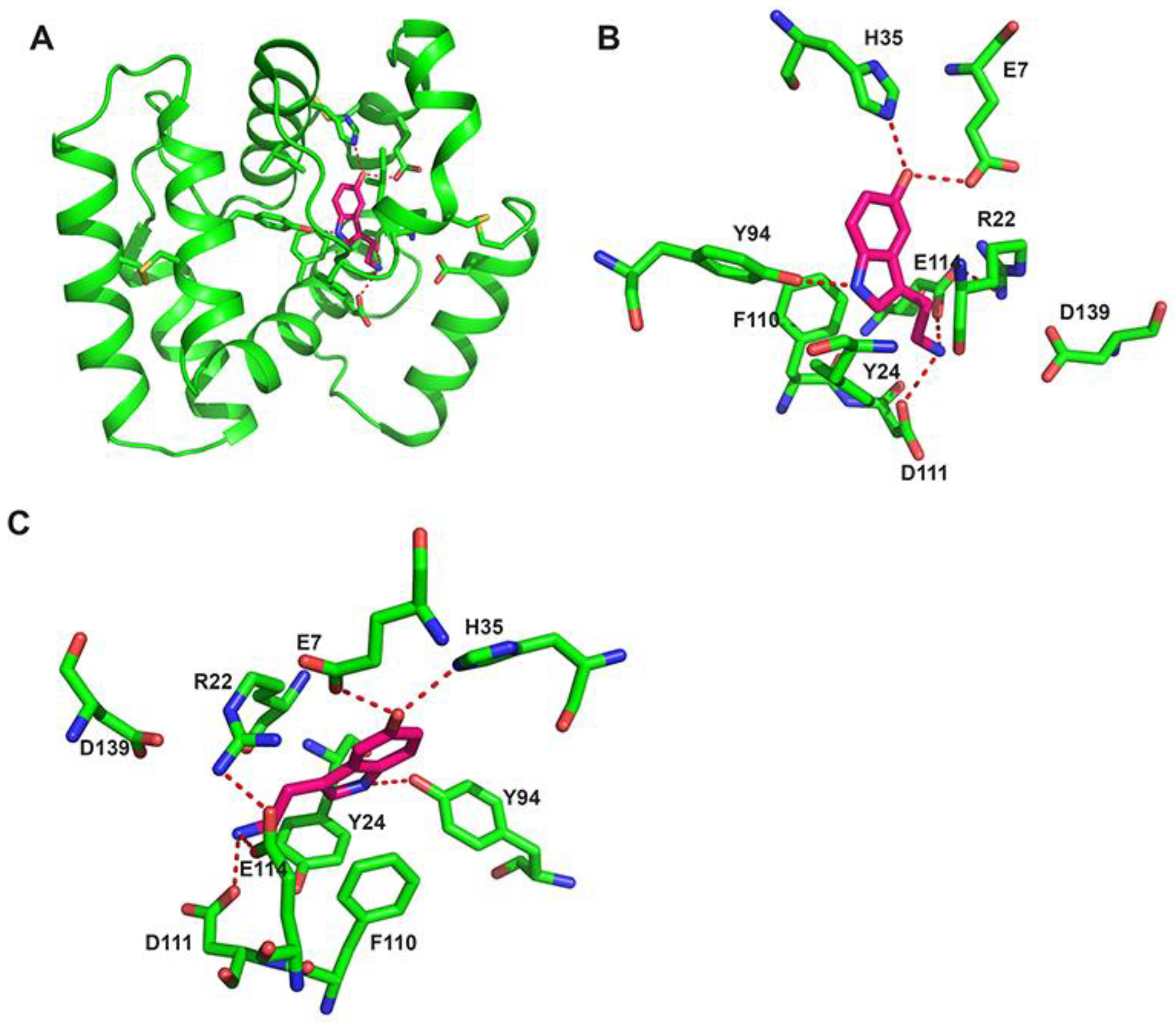 Biology 12 00039 g003