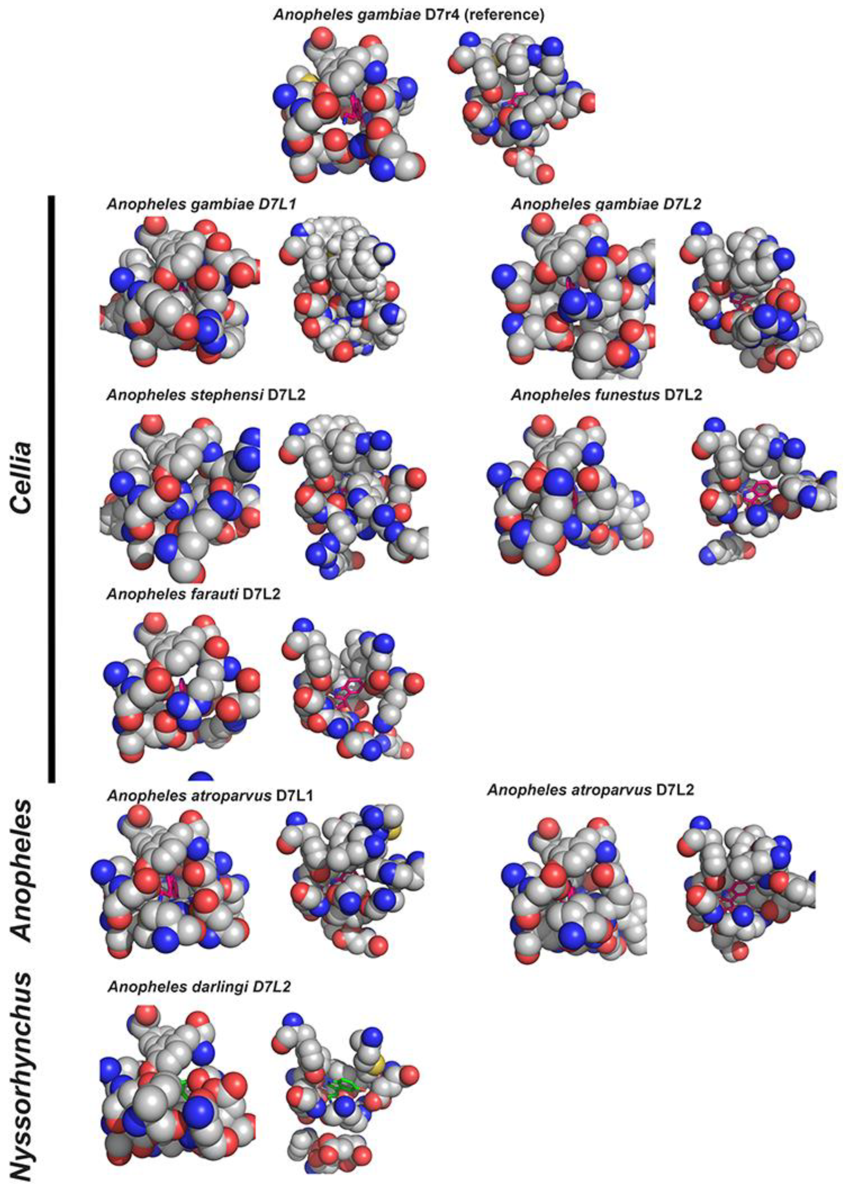 Biology 12 00039 g005