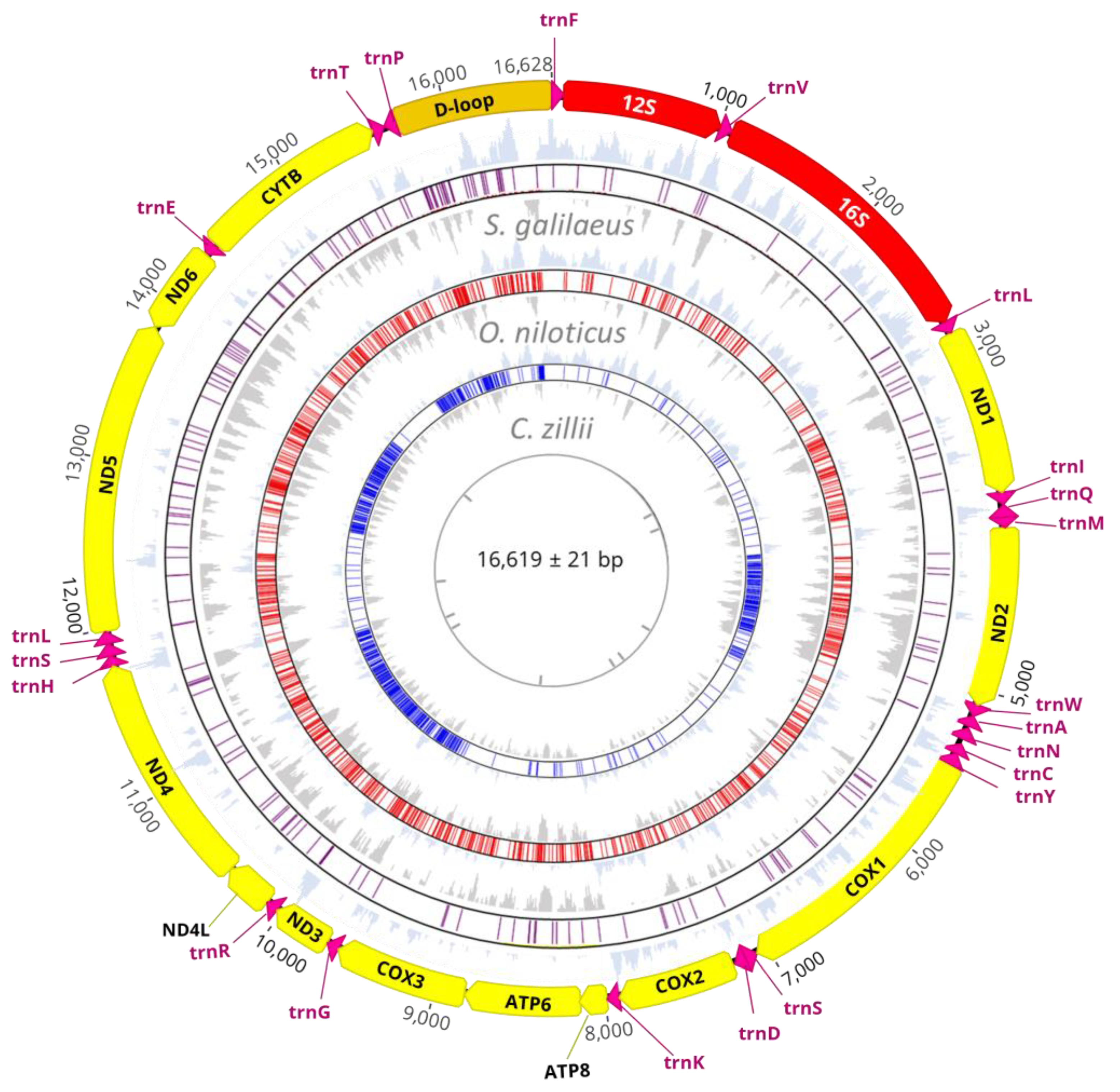 Biology 12 00040 g001 Biology 12 00040 g001
