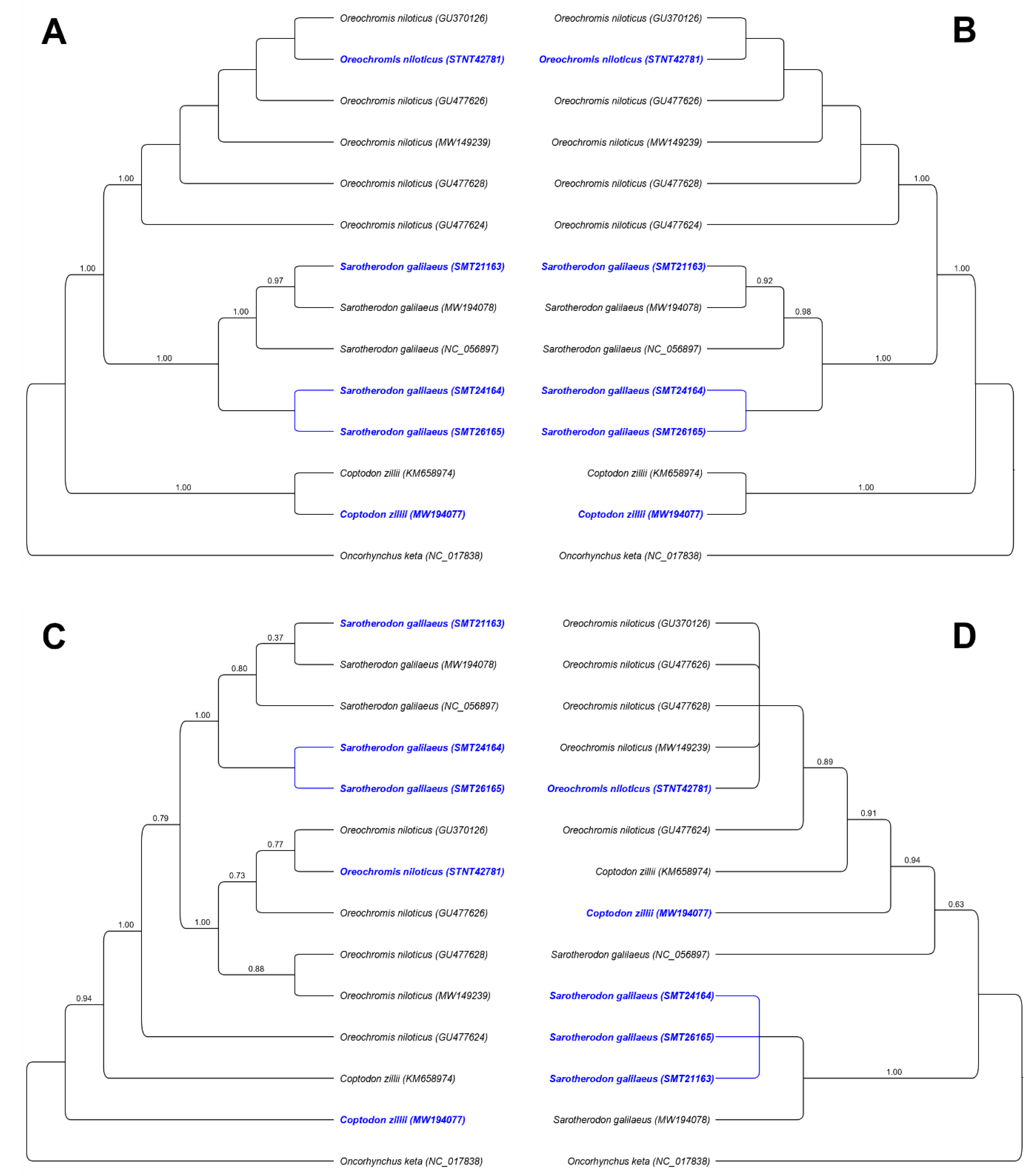 Biology 12 00040 g005 Biology 12 00040 g005