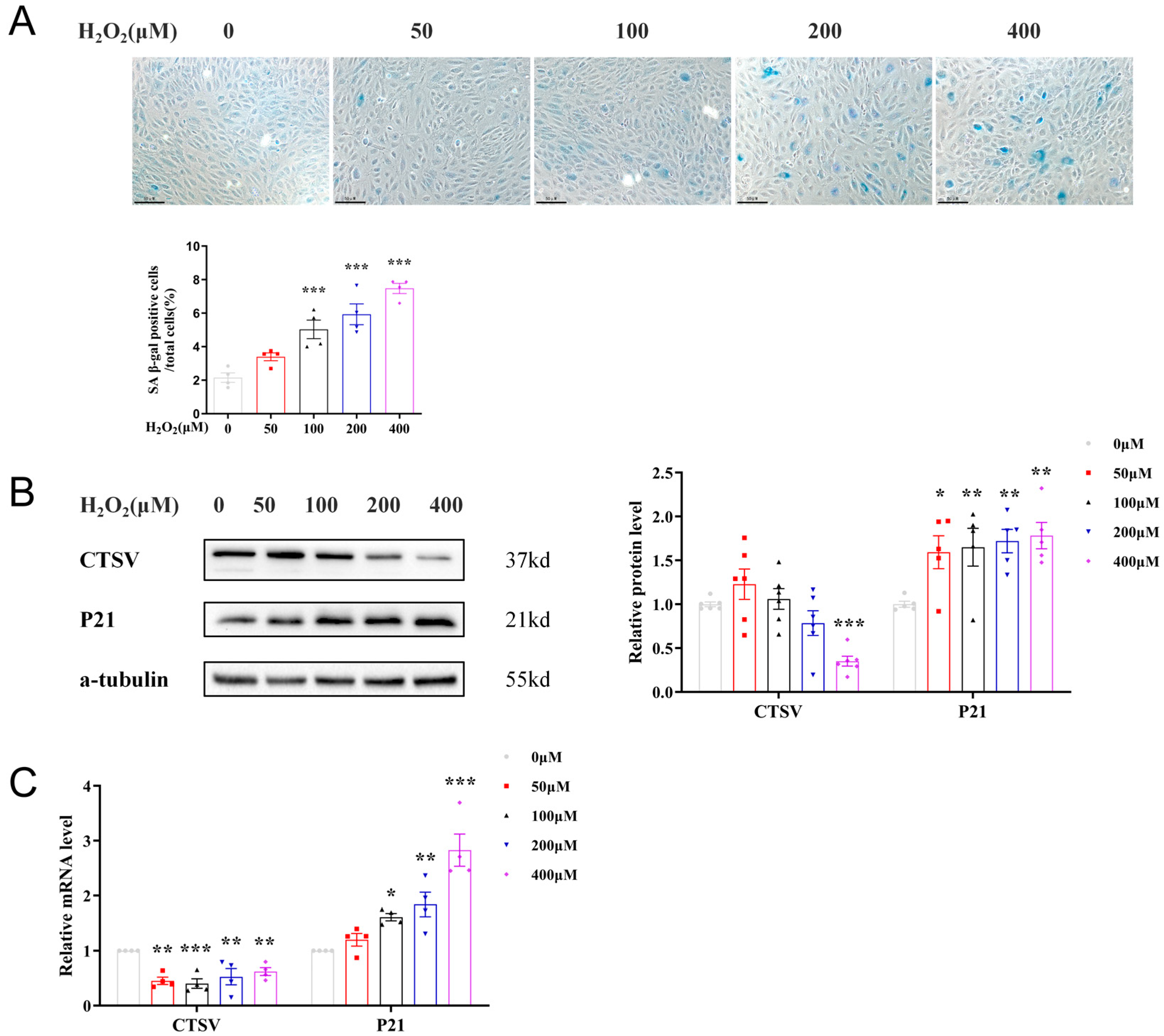Biology 12 00042 g002 Biology 12 00042 g002