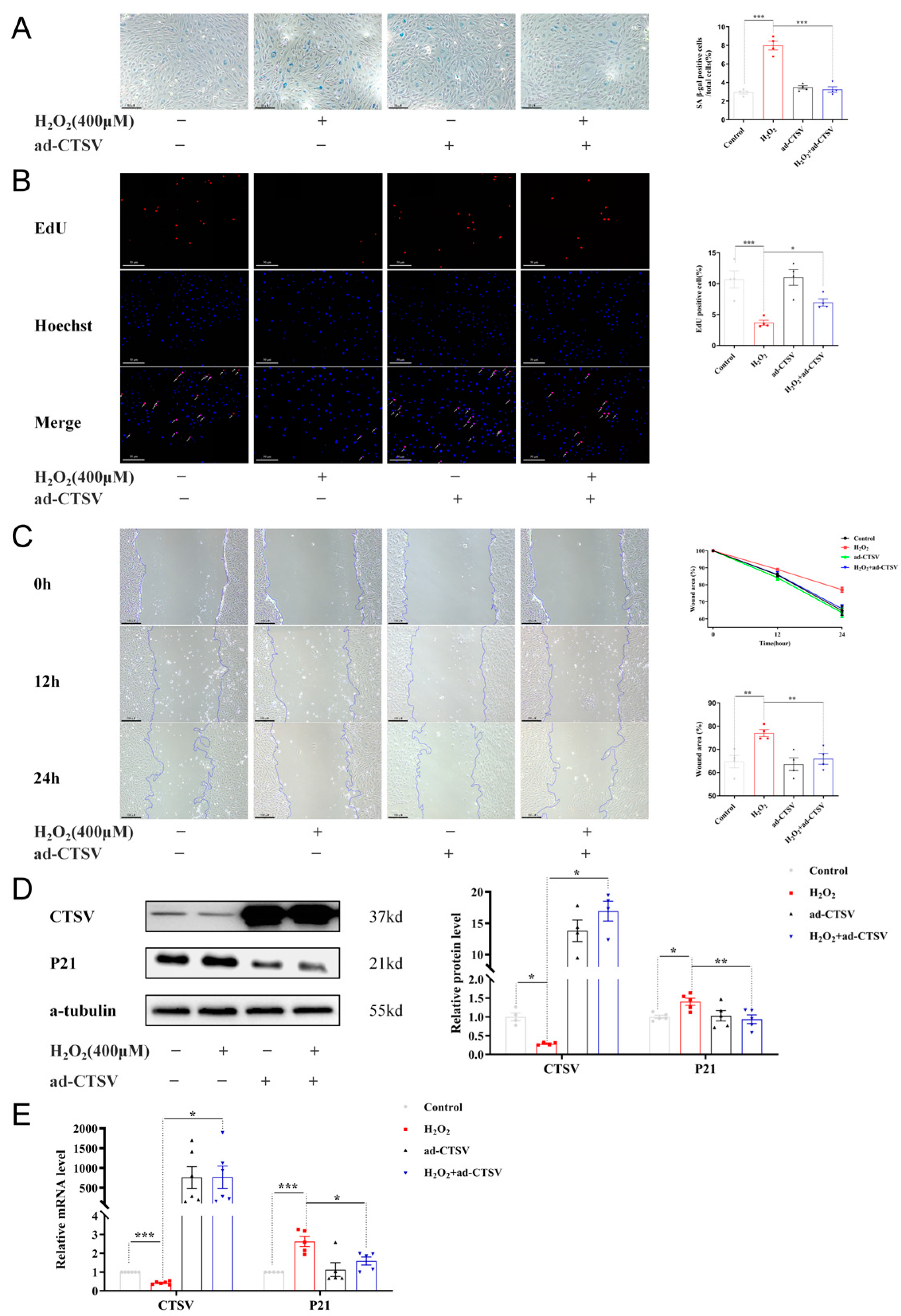 Biology 12 00042 g003 Biology 12 00042 g003
