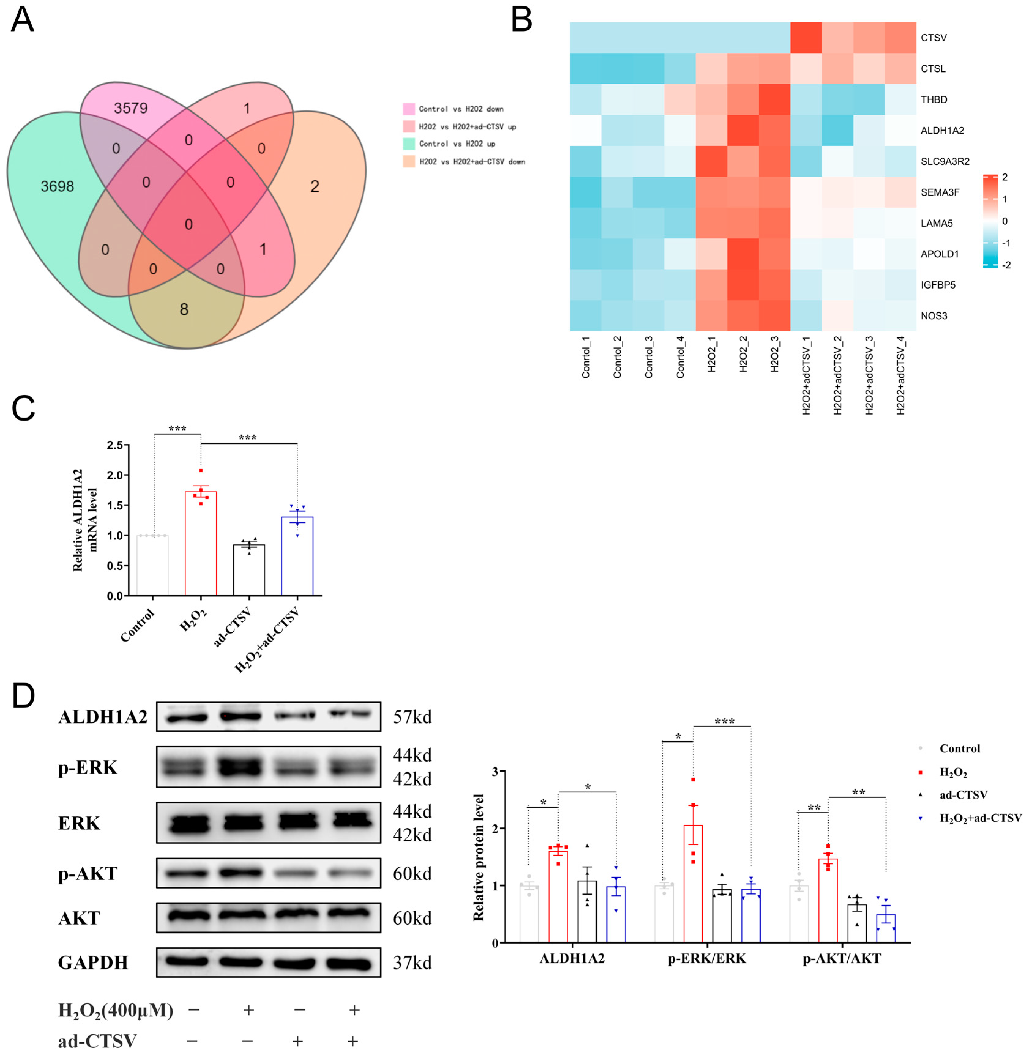 Biology 12 00042 g004 Biology 12 00042 g004