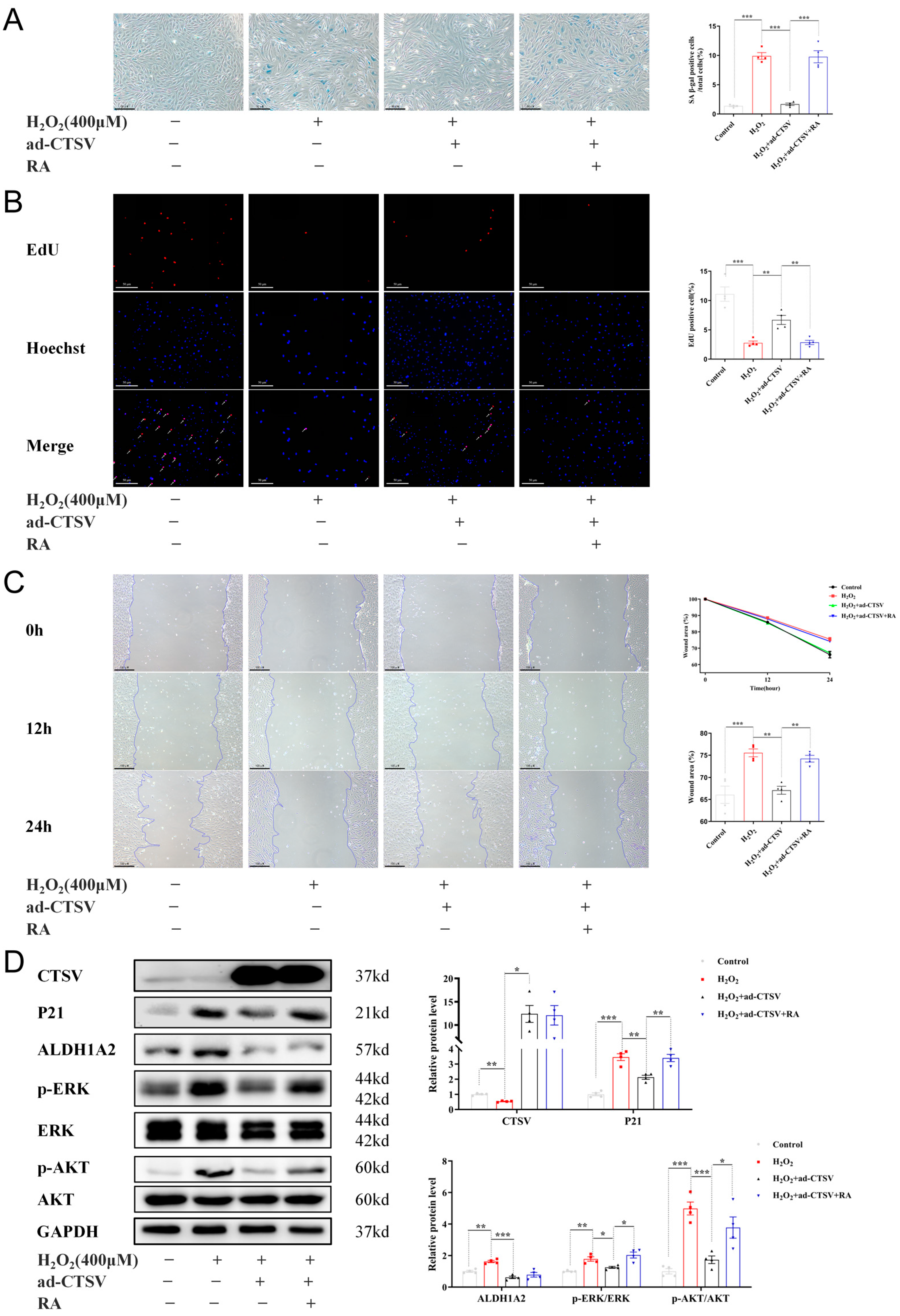 Biology 12 00042 g005 Biology 12 00042 g005