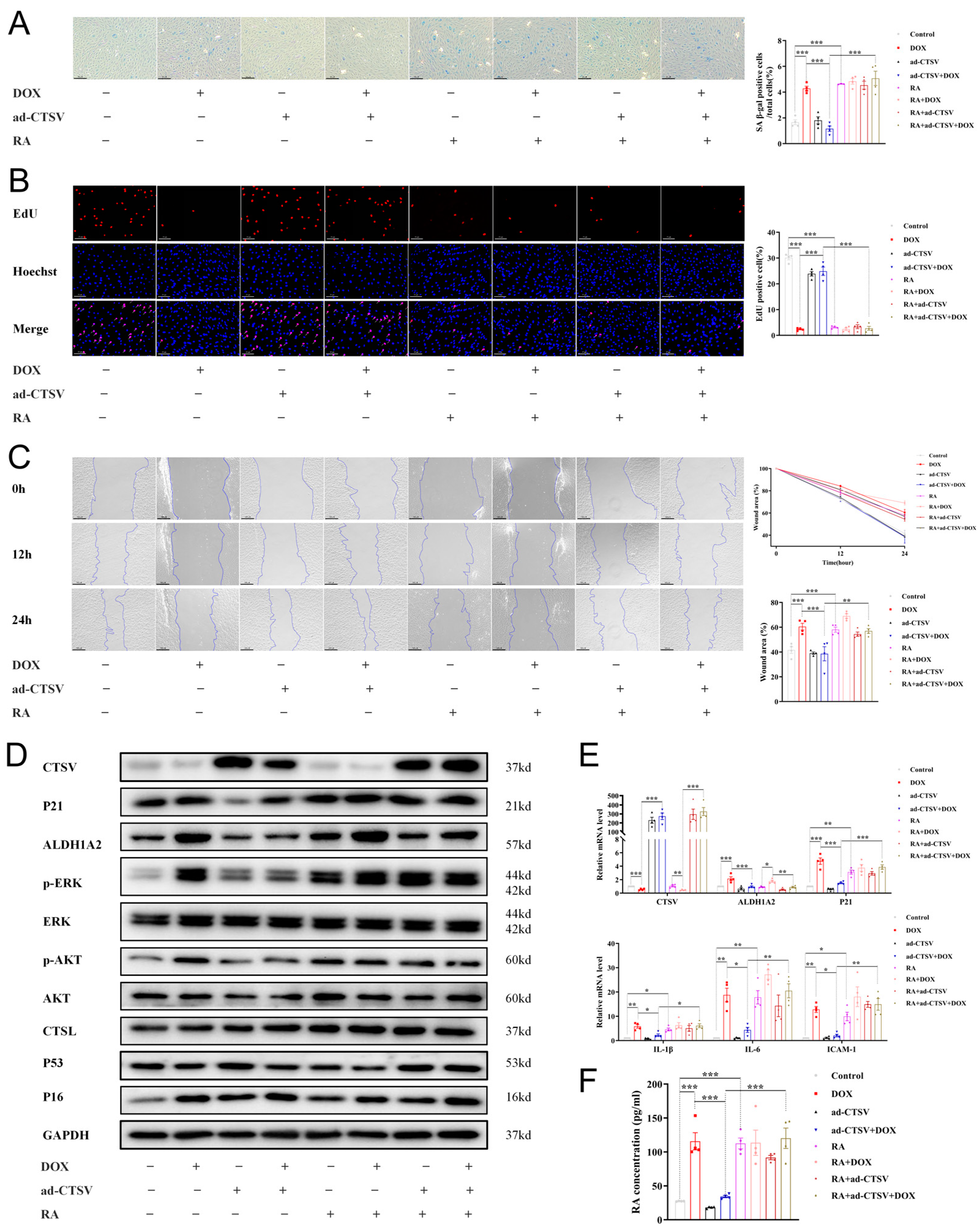 Biology 12 00042 g006 Biology 12 00042 g006