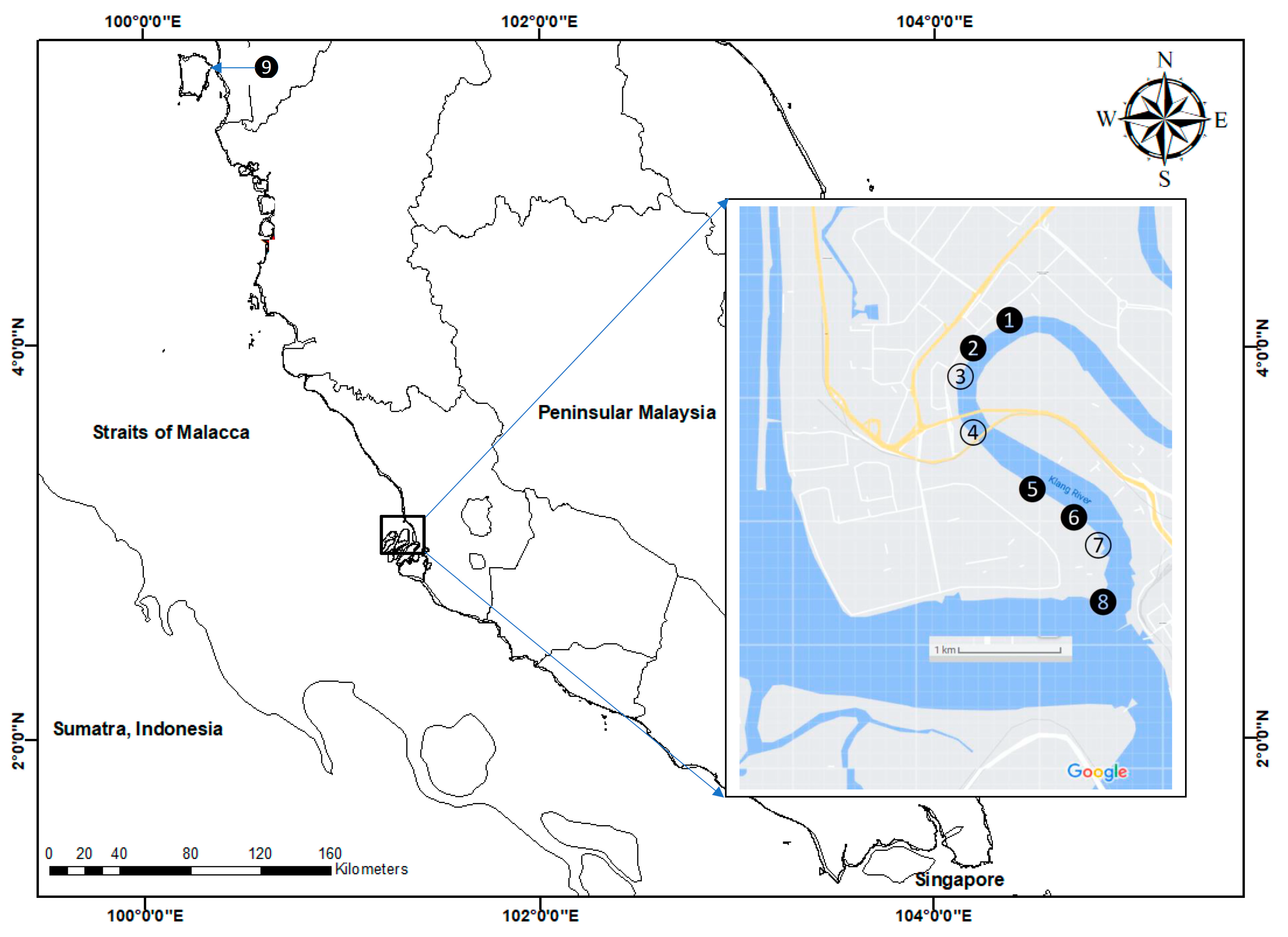 Biology 12 00043 g001 Biology 12 00043 g001