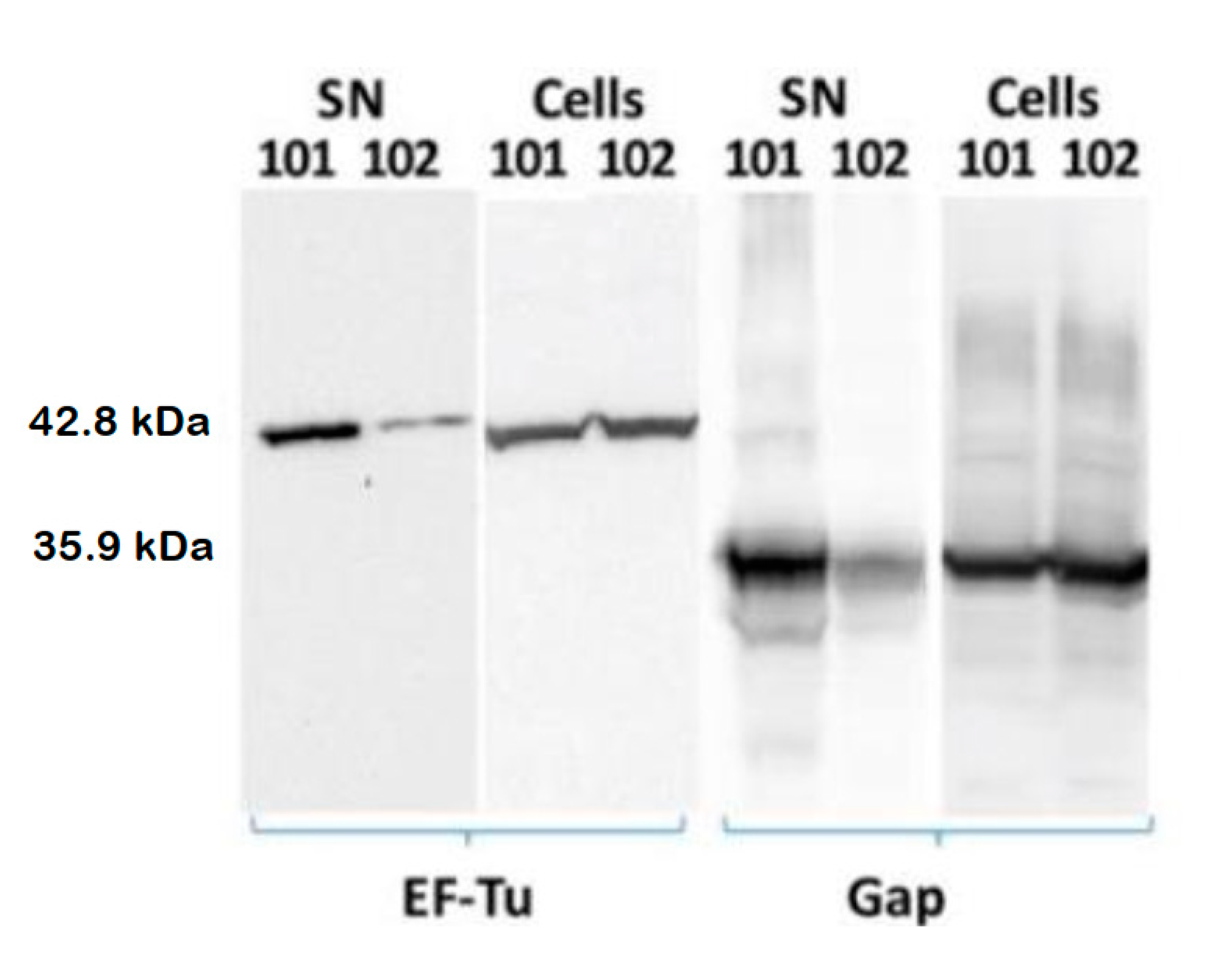 Biology 12 00044 g002 Biology 12 00044 g002