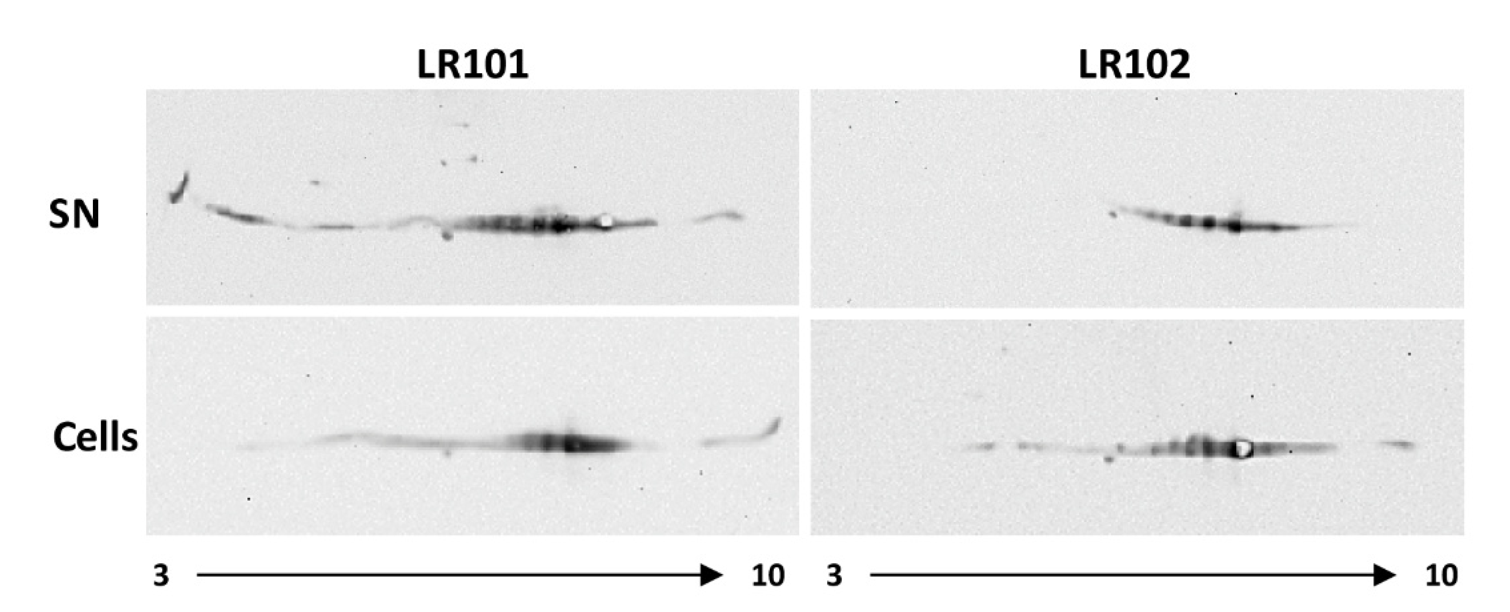 Biology 12 00044 g004 Biology 12 00044 g004
