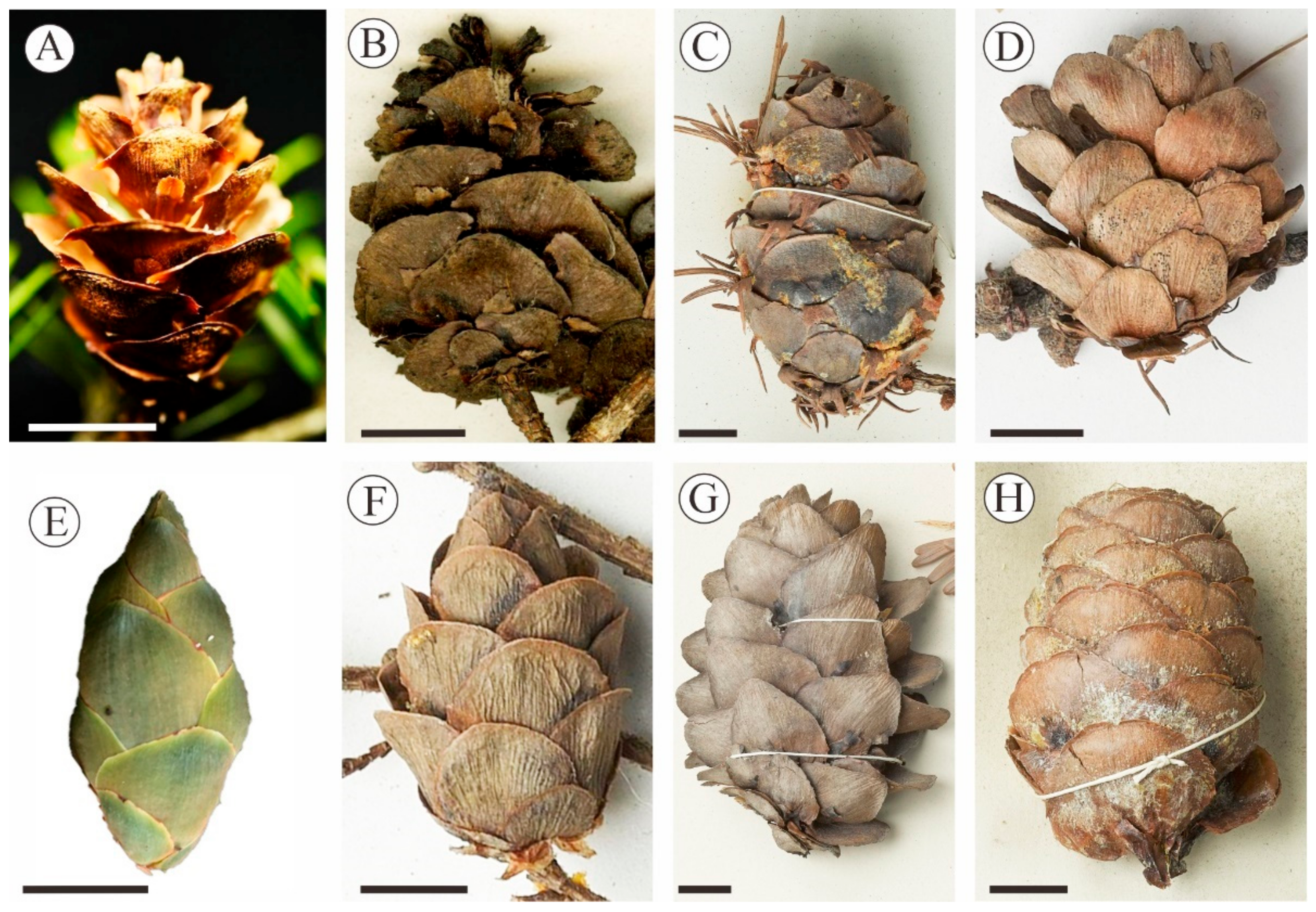 Biology 12 00046 g003