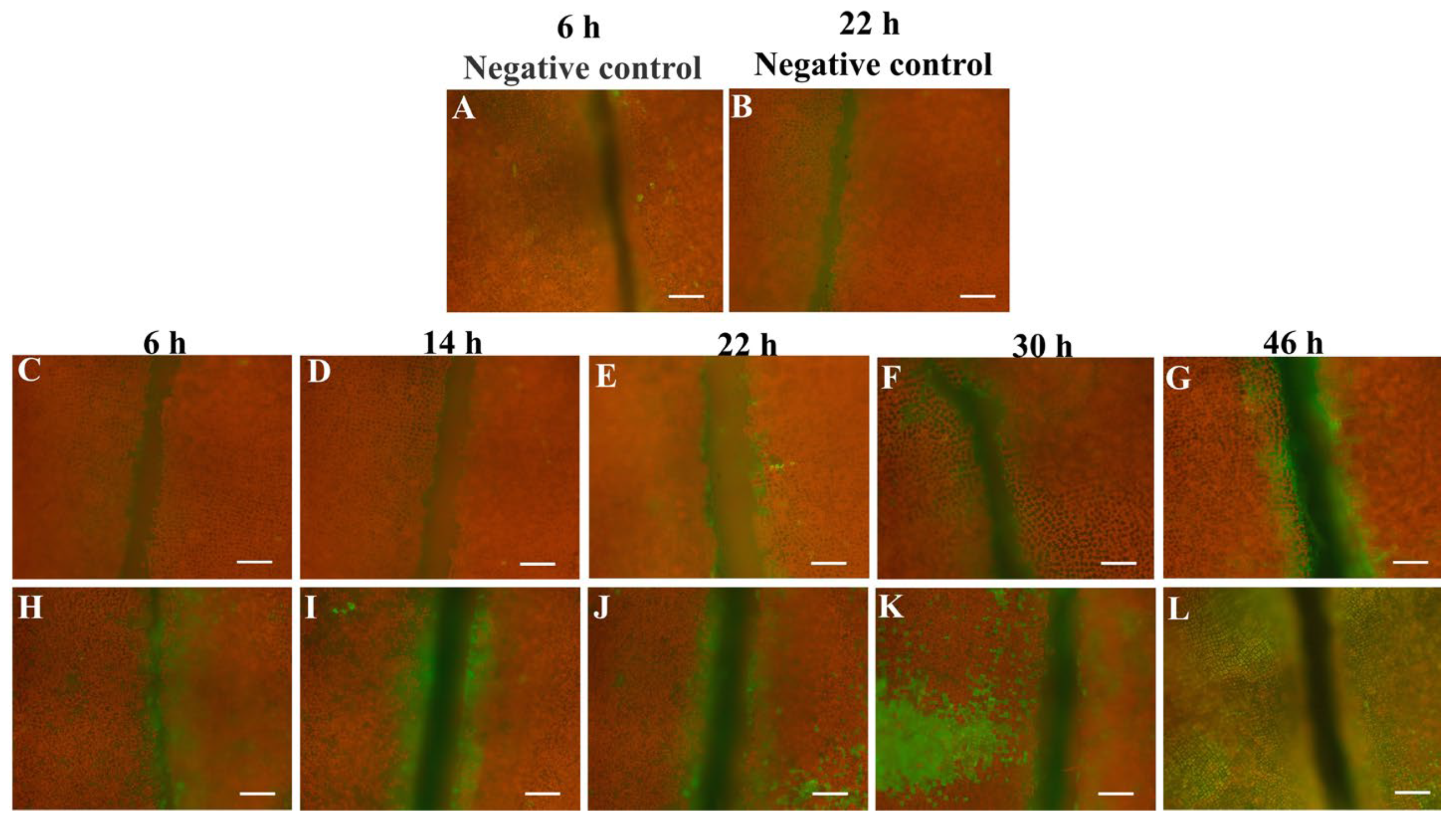 Biology 12 00047 g006 Biology 12 00047 g006