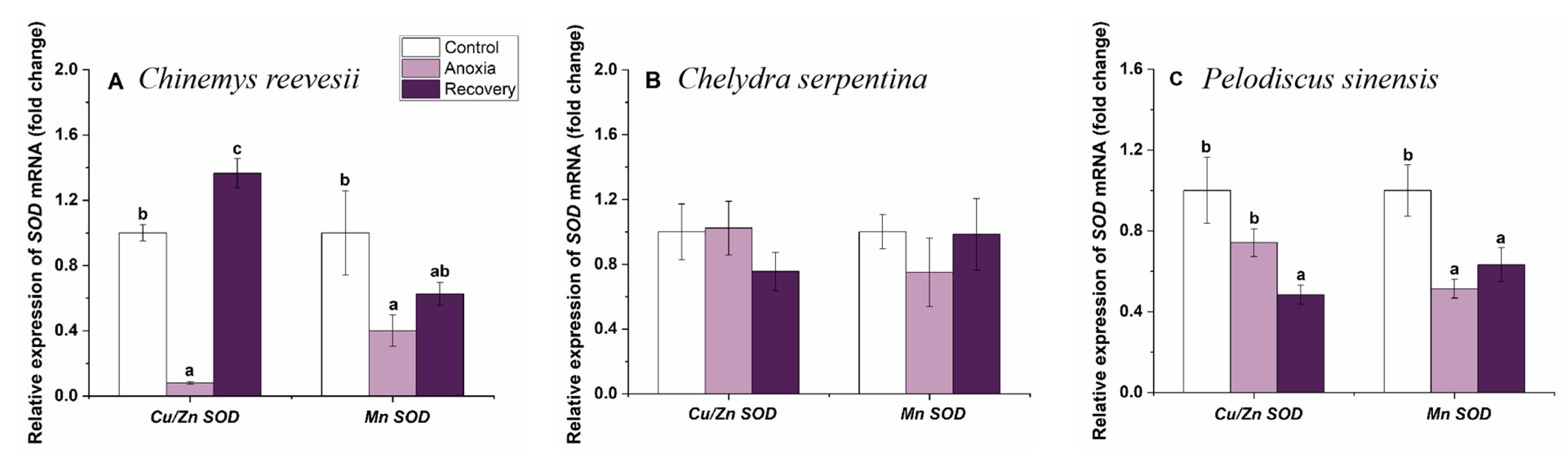 Biology 12 00050 g004 Biology 12 00050 g004