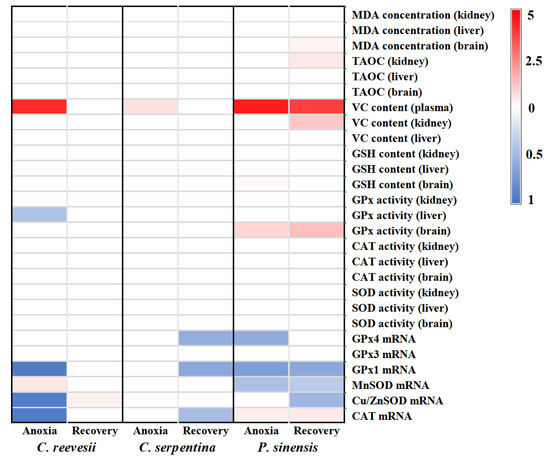 Diverse Response Pattern to Anoxia in Three Freshwater
