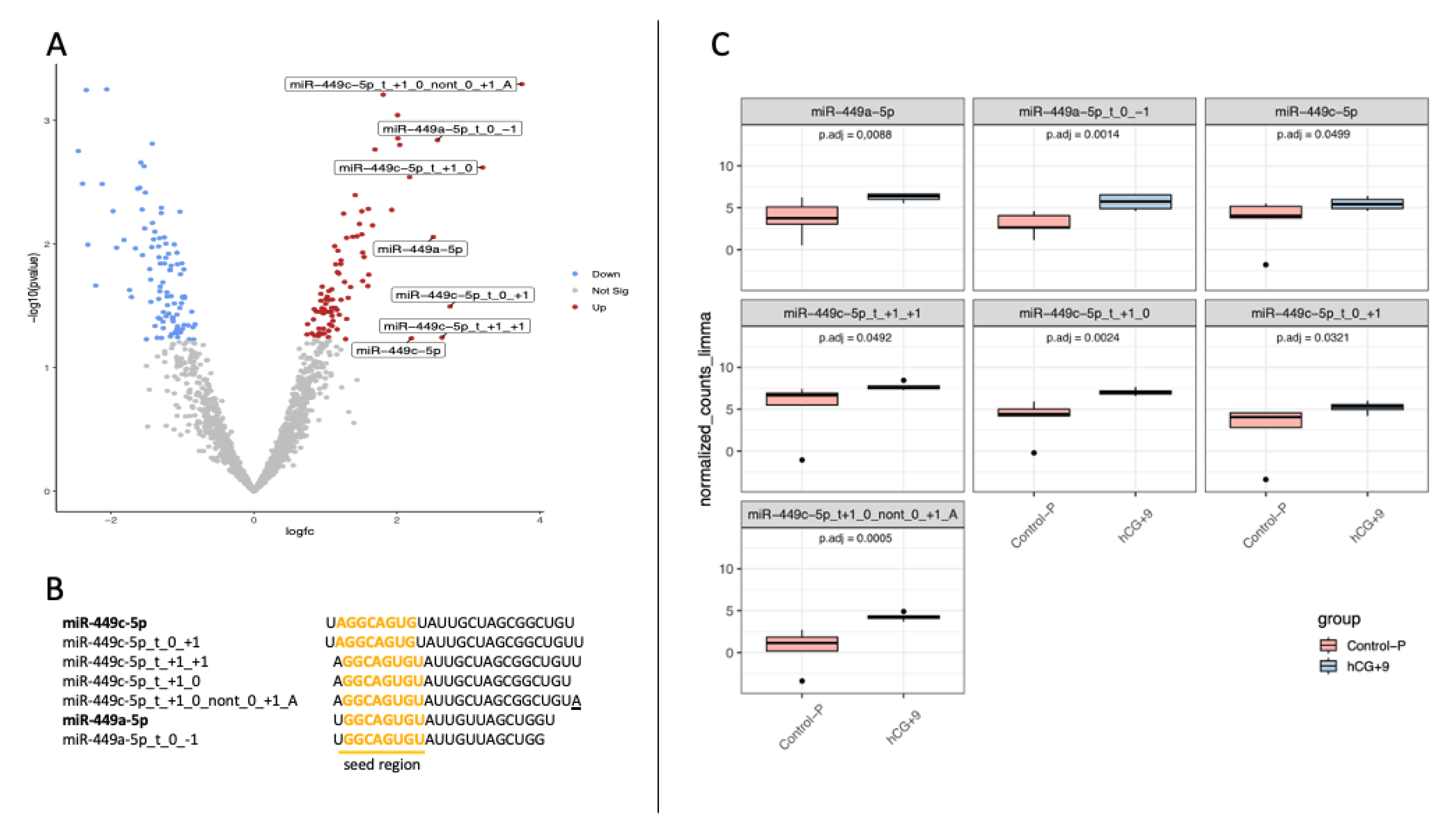 Biology 12 00055 g001 Biology 12 00055 g001