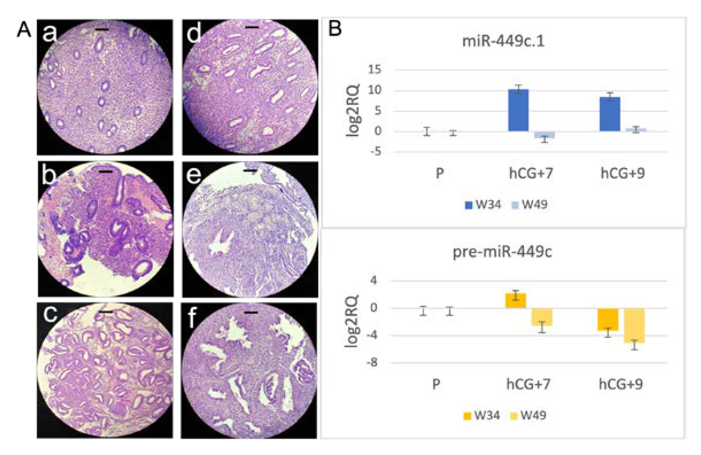 Biology 12 00055 g003 Biology 12 00055 g003
