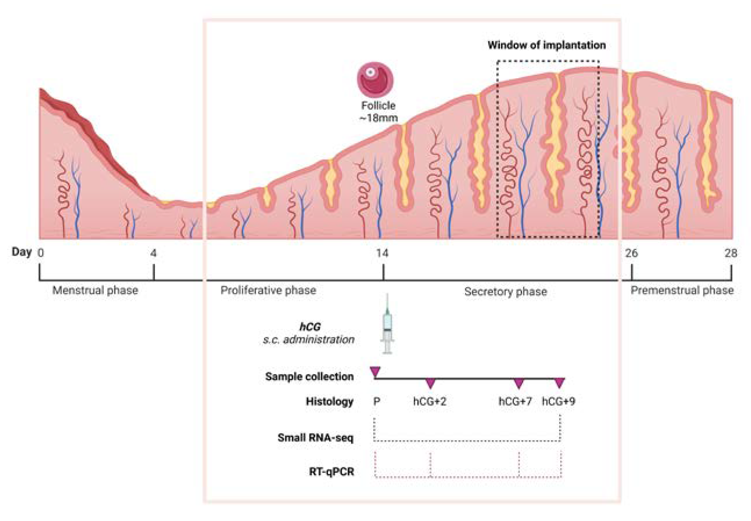 Biology 12 00055 sch001 Biology 12 00055 sch001