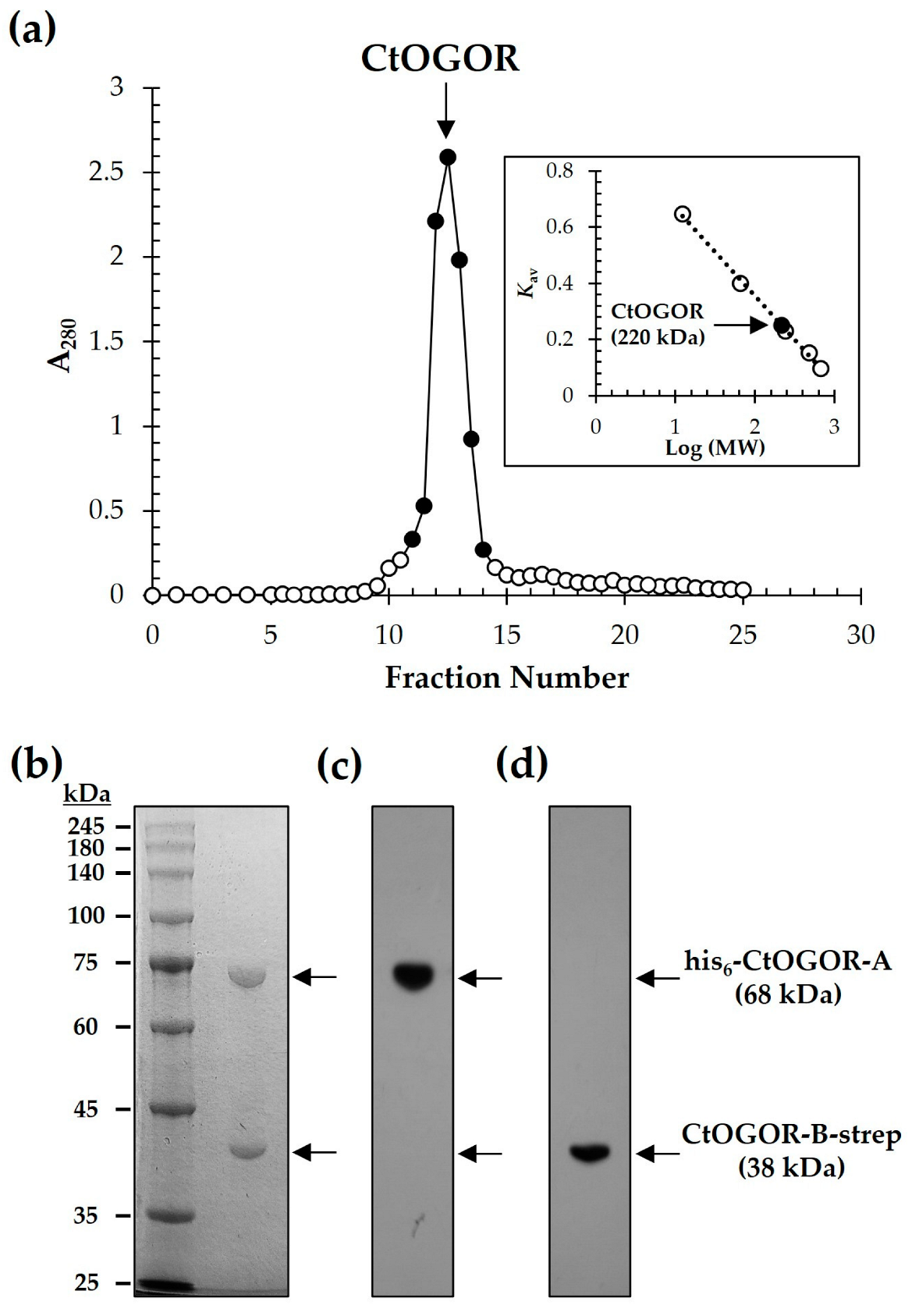 Biology 12 00059 g002