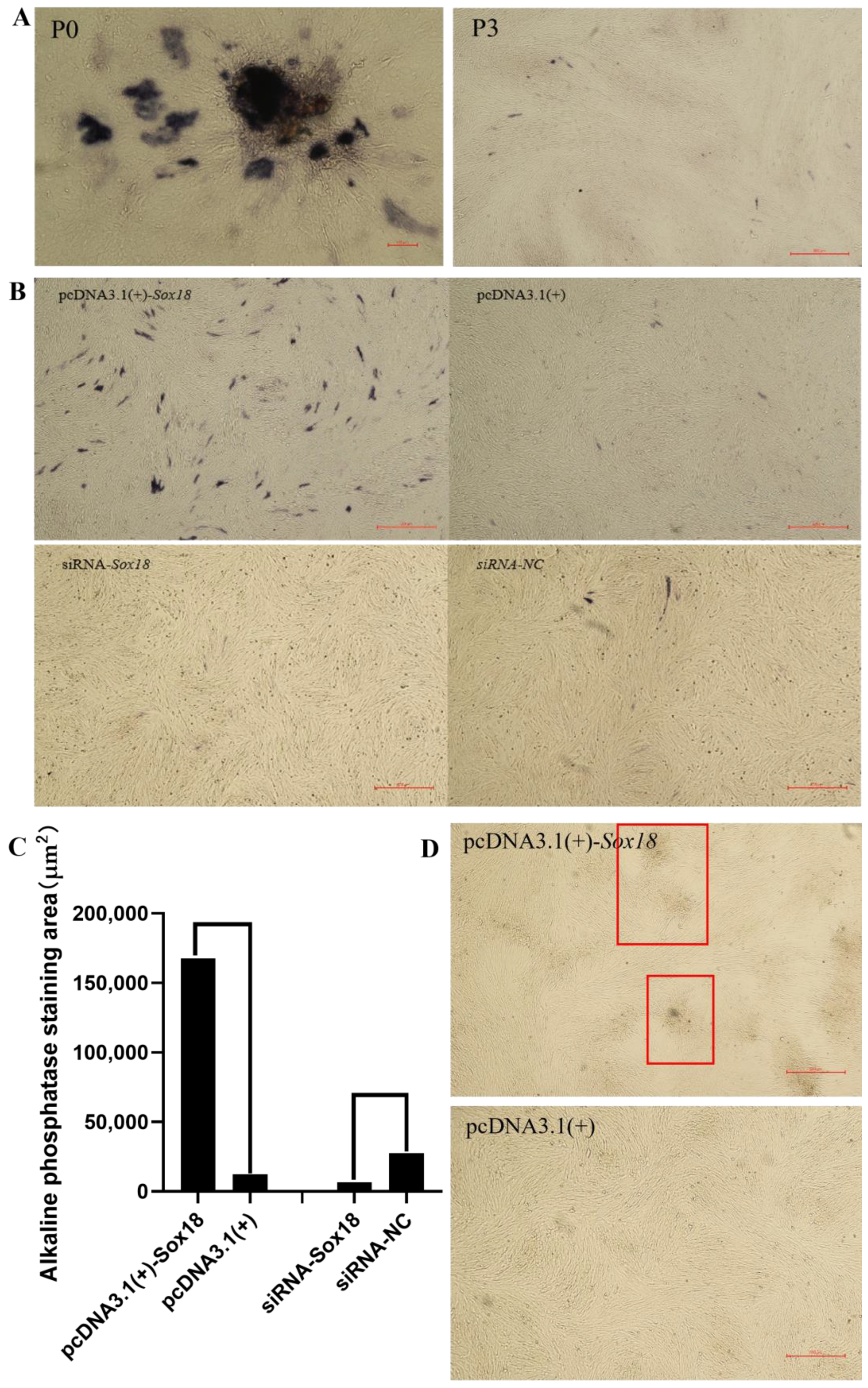 Biology 12 00065 g003 Biology 12 00065 g003