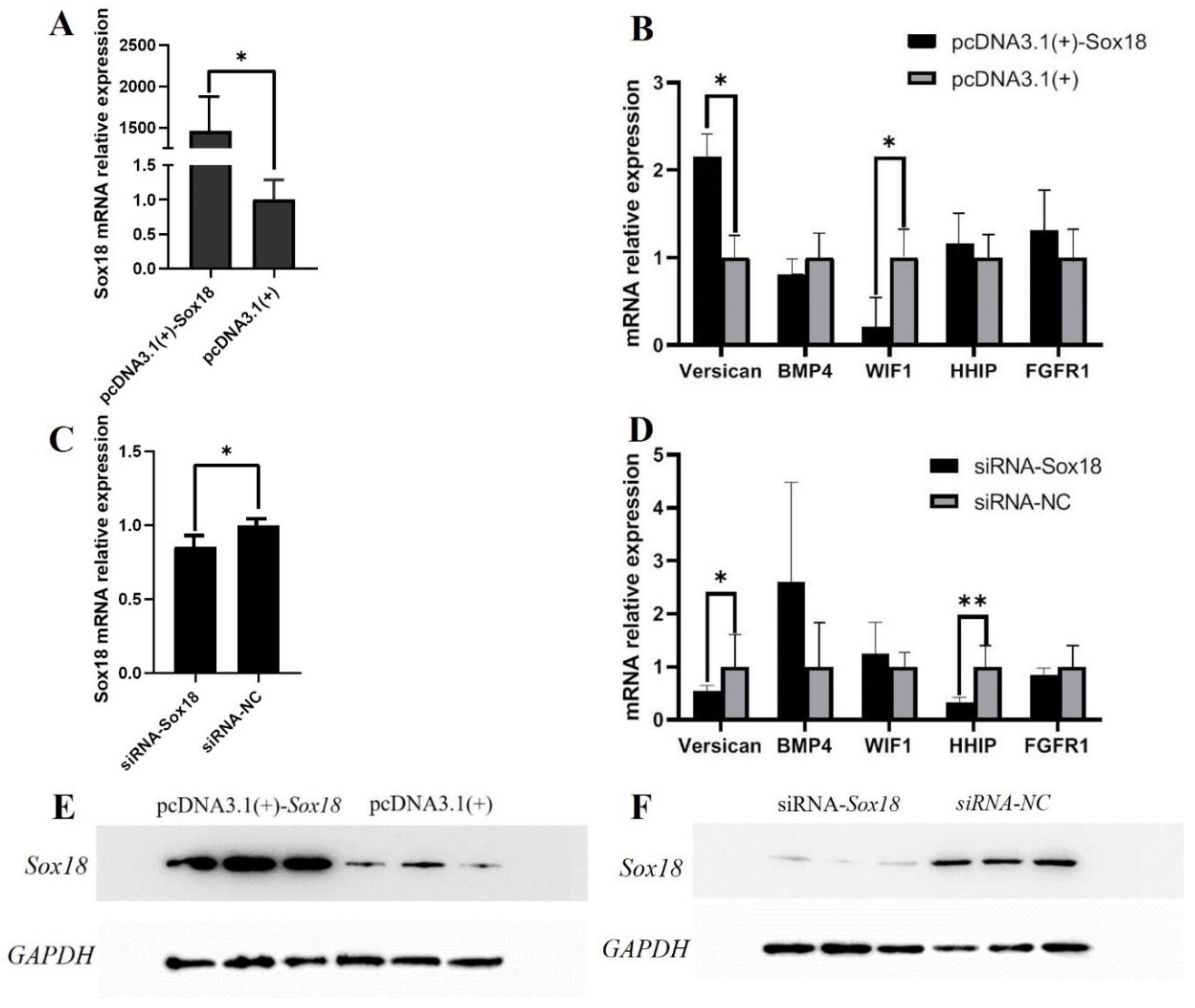 Biology 12 00065 g004 Biology 12 00065 g004
