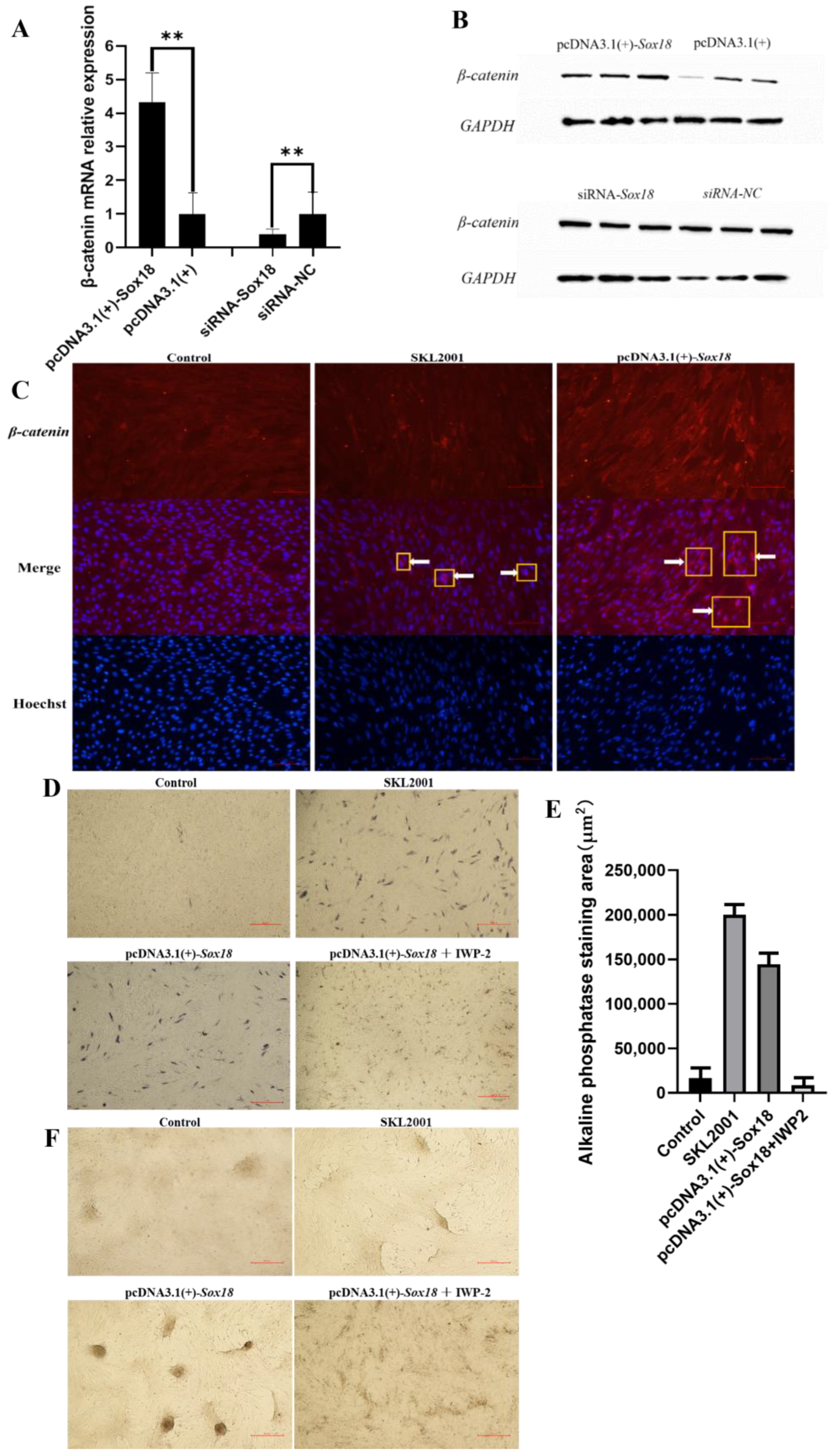 Biology 12 00065 g005 Biology 12 00065 g005