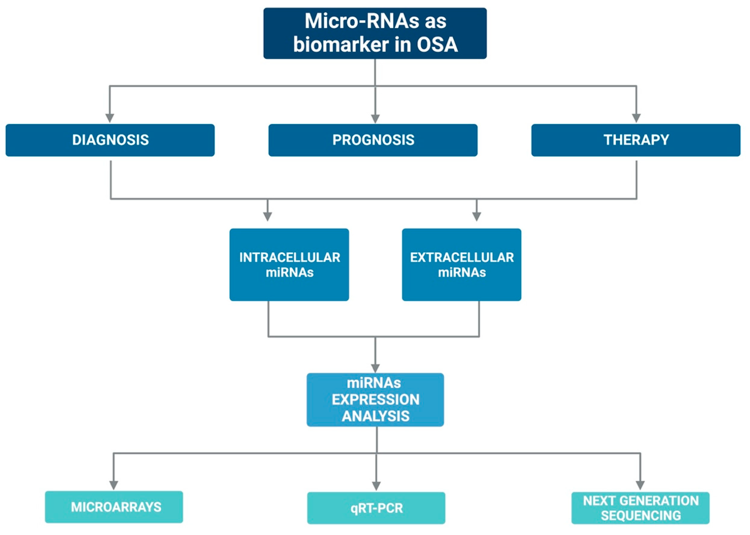 Biology 12 00066 g002 Biology 12 00066 g002