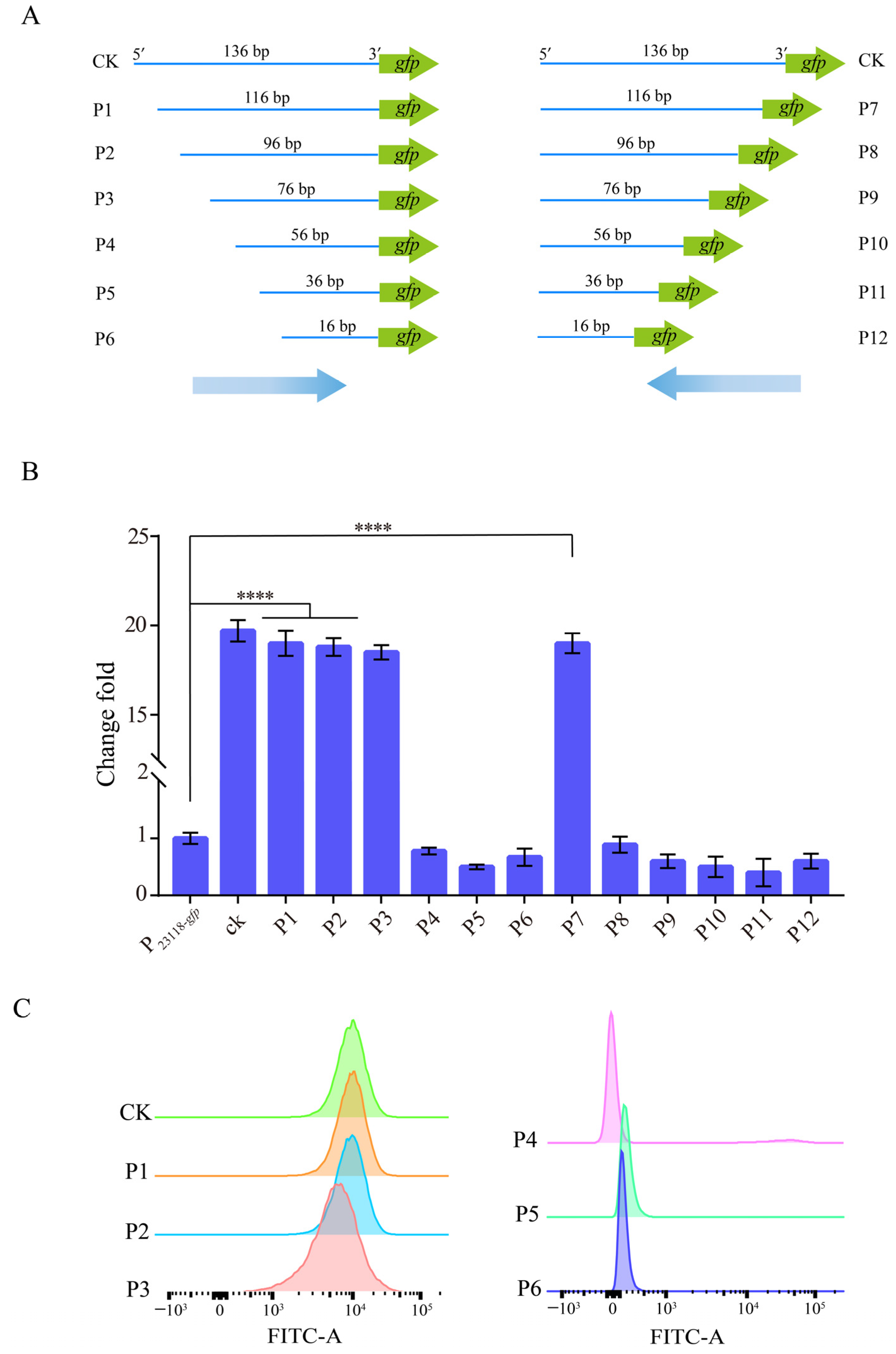 Biology 12 00071 g002